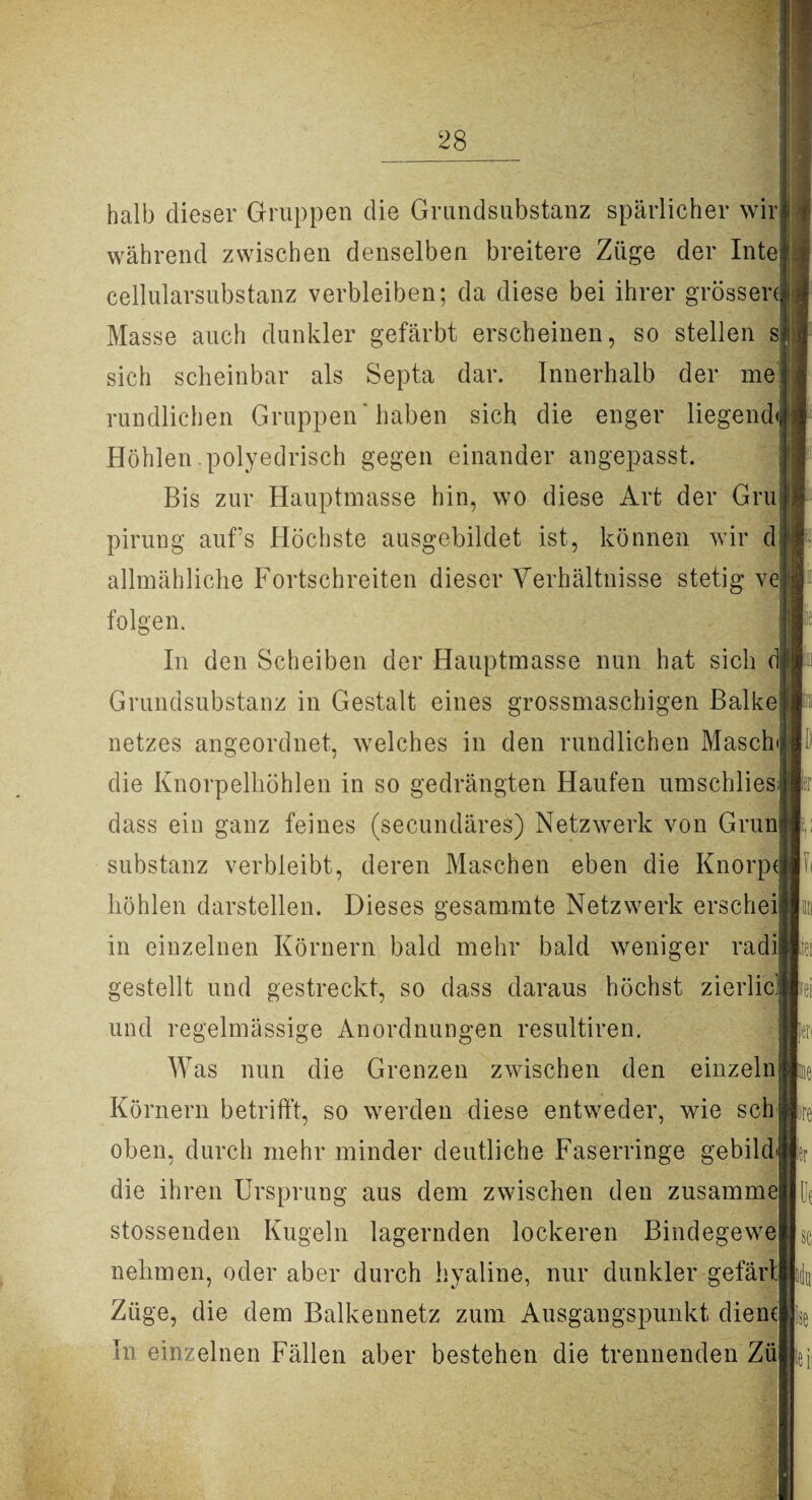halb dieser Gruppen die Grundsubstanz spärlicher wir während zwischen denselben breitere Züge der Inte cellularsubstanz verbleiben; da diese bei ihrer grössere Masse auch dunkler gefärbt erscheinen, so stellen s sich scheinbar als Septa dar. Innerhalb der me rundlichen Gruppen haben sich die enger liegend* Höhlen polyedrisch gegen einander angepasst. Bis zur Hauptmasse hin, wo diese Art der Gru pirung aufs Höchste ausgebildet ist, können wir d allmähliche Fortschreiten dieser Verhältnisse stetig ve folgen. In den Scheiben der Hauptmasse nun hat sich dl Grundsubstanz in Gestalt eines grossmaschigen Balke! netzes angeordnet, welches in den rundlichen Maschi die Knorpelkohlen in so gedrängten Haufen umschliesi dass ein ganz feines (secundäres) Netzwerk von Grunl Substanz verbleibt, deren Maschen eben die Knorpel höhlen darstellen. Dieses gesammte Netzwerk erscheij in einzelnen Körnern bald mehr bald weniger radi gestellt und gestreckt, so dass daraus höchst zierlic| und regelmässige Anordnungen resultiren. Was nun die Grenzen zwischen den einzeln| Körnern betrifft, so werden diese entweder, wie sch oben, durch mehr minder deutliche Faserringe gebildi die ihren Ursprung aus dem zwischen den zusamme stossenden Kugeln lagernden lockeren Bindegewe nehmen, oder aber durch hyaline, nur dunkler gefärt Züge, die dem Balkennetz zum Ausgangspunkt diene In einzelnen Fällen aber bestehen die trennenden Ziij pi i pre fer |D<