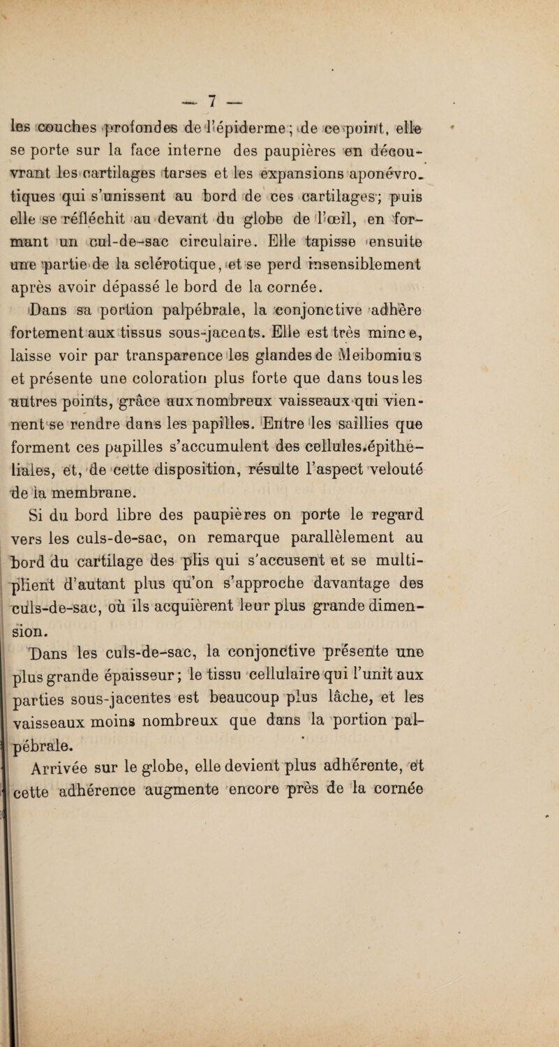 les couches profondes de l’épiderme ; de cepoint, elle se porte sur la face interne des paupières en décou¬ vrant les cartilages tarses et les expansions aponévro. tiques qui s’unissent au bord de ces cartilages'; puis elle se réfléchit au devant du globe de l’œil, en for¬ mant un cul-de-sac circulaire. Elle tapisse -ensuite une partie de la sclérotique, et se perd insensiblement après avoir dépassé le bord de la cornée. Dans sa portion palpébrale, la conjonctive adhère fortement aux tissus sous-jacents. Elle est très mince, laisse voir par transparence les glandes de Meibomiu s et présente une coloration plus forte que dans tous les autres points, grâce aux nombreux vaisseaux qui vien¬ nent se rendre dans les papilles. Entre les saillies que forment ces papilles s’accumulent des cellulesœpithé- liales, et, de cette disposition, résulte l’aspect velouté de la membrane. Si du bord libre des paupières on porte le regard vers les culs-de-sac, on remarque parallèlement au bord du cartilage des plis qui s'accusent et se multi¬ plient d’autant plus qu’on s’approche davantage des culs-de-sac, où ils acquièrent leur plus grande dimen¬ sion. Dans les culs-de-sac, la conjonctive présente une plus grande épaisseur; le tissu cellulaire qui l’unit aux parties sous-jacentes est beaucoup plus lâche, et les vaisseaux moins nombreux que dans la portion pal¬ pébrale. Arrivée sur le globe, elle devient plus adhérente, et cette adhérence augmente encore près de la cornée