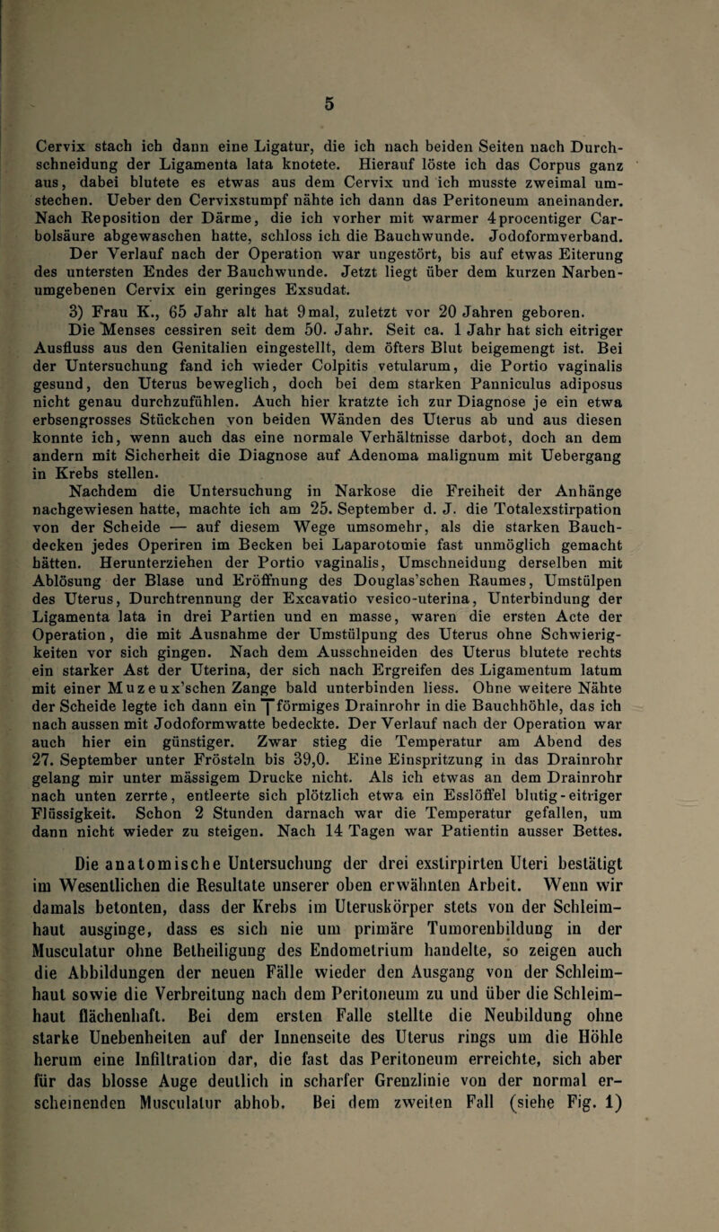 Cervix stach ich dann eine Ligatur, die ich nach beiden Seiten nach Durch¬ schneidung der Ligamenta lata knotete. Hierauf löste ich das Corpus ganz aus, dabei blutete es etwas aus dem Cervix und ich musste zweimal um¬ stechen. Ueber den Cervixstumpf nähte ich dann das Peritoneum aneinander. Nach Reposition der Därme, die ich vorher mit warmer 4procentiger Car- bolsäure abgewaschen hatte, schloss ich die Bauchwunde. Jodoformverband. Der Verlauf nach der Operation war ungestört, bis auf etwas Eiterung des untersten Endes der Bauchwunde. Jetzt liegt über dem kurzen Narben¬ umgebenen Cervix ein geringes Exsudat. 3) Frau K., 65 Jahr alt hat 9 mal, zuletzt vor 20 Jahren geboren. Die Menses cessiren seit dem 50. Jahr. Seit ca. 1 Jahr hat sich eitriger Ausfluss aus den Genitalien eingestellt, dem öfters Blut beigemengt ist. Bei der Untersuchung fand ich wieder Colpitis vetularum, die Portio vaginalis gesund, den Uterus beweglich, doch bei dem starken Panniculus adiposus nicht genau durchzufiihlen. Auch hier kratzte ich zur Diagnose je ein etwa erbsengrosses Stückchen von beiden Wänden des Uterus ab und aus diesen konnte ich, wenn auch das eine normale Verhältnisse darbot, doch an dem andern mit Sicherheit die Diagnose auf Adenoma malignum mit Uebergang in Krebs stellen. Nachdem die Untersuchung in Narkose die Freiheit der Anhänge nachgewiesen hatte, machte ich am 25. September d. J. die Totalexstirpation von der Scheide — auf diesem Wege umsomehr, als die starken Bauch¬ decken jedes Operiren im Becken bei Laparotomie fast unmöglich gemacht hätten. Herunterziehen der Portio vaginalis, Umschneidung derselben mit Ablösung der Blase und Eröffnung des Douglas’schen Raumes, Umstülpen des Uterus, Durchtrennung der Excavatio vesico-uterina, Unterbindung der Ligamenta lata in drei Partien und en masse, waren die ersten Acte der Operation, die mit Ausnahme der Umstülpung des Uterus ohne Schwierig¬ keiten vor sich gingen. Nach dem Ausschneiden des Uterus blutete rechts ein starker Ast der Uterina, der sich nach Ergreifen des Ligamentum latum mit einer Muzeux’schen Zange bald unterbinden liess. Ohne weitere Nähte der Scheide legte ich dann ein “förmiges Drainrohr in die Bauchhöhle, das ich nach aussen mit Jodoformwatte bedeckte. Der Verlauf nach der Operation war auch hier ein günstiger. Zwar stieg die Temperatur am Abend des 27. September unter Frösteln bis 39,0. Eine Einspritzung in das Drainrohr gelang mir unter mässigem Drucke nicht. Als ich etwas an dem Drainrohr nach unten zerrte, entleerte sich plötzlich etwa ein Esslöffel blutig-eitriger Flüssigkeit. Schon 2 Stunden darnach war die Temperatur gefallen, um dann nicht wieder zu steigen. Nach 14 Tagen war Patientin ausser Bettes. Die anatomische Untersuchung der drei exstirpirten Uteri bestätigt im Wesentlichen die Resultate unserer oben erwähnten Arbeit. Wenn wir damals betonten, dass der Krebs im Uteruskörper stets von der Schleim¬ haut ausginge, dass es sich nie um primäre Tumorenbildung in der Musculatur ohne Beiheiligung des Endometrium handelte, so zeigen auch die Abbildungen der neuen Fälle wieder den Ausgang von der Schleim¬ haut sowie die Verbreitung nach dem Peritoneum zu und über die Schleim¬ haut flächenhaft. Bei dem ersten Falle stellte die Neubildung ohne starke Unebenheiten auf der Innenseite des Uterus rings um die Höhle herum eine Infiltration dar, die fast das Peritoneum erreichte, sich aber für das blosse Auge deutlich in scharfer Grenzlinie von der normal er¬ scheinenden Musculatur abhob. Bei dem zweiten Fall (siehe Fig. 1)