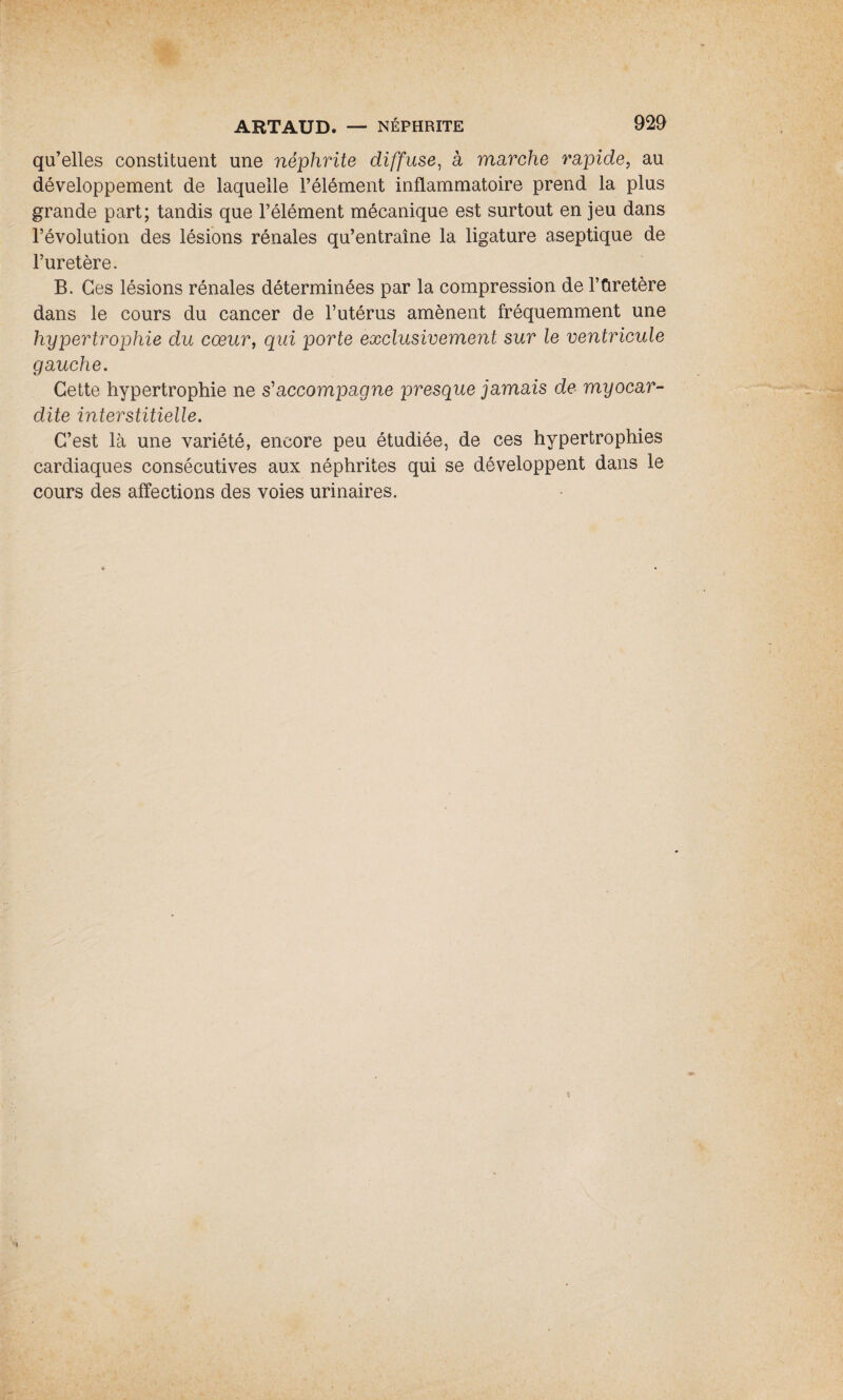 qu’elles constituent une néphrite diffuse, à marche rapide, au développement de laquelle l’élément inflammatoire prend la plus grande part; tandis que l’élément mécanique est surtout en jeu dans l’évolution des lésions rénales qu’entraîne la ligature aseptique de l’uretère. B. Ces lésions rénales déterminées par la compression de l’ûretère dans le cours du cancer de l’utérus amènent fréquemment une hypertrophie du cœur, qui porte exclusivement sur le ventricule gauche. Cette hypertrophie ne s'accompagne presque jamais de myocar¬ dite interstitielle. C’est là une variété, encore peu étudiée, de ces hypertrophies cardiaques consécutives aux néphrites qui se développent dans le cours des affections des voies urinaires.