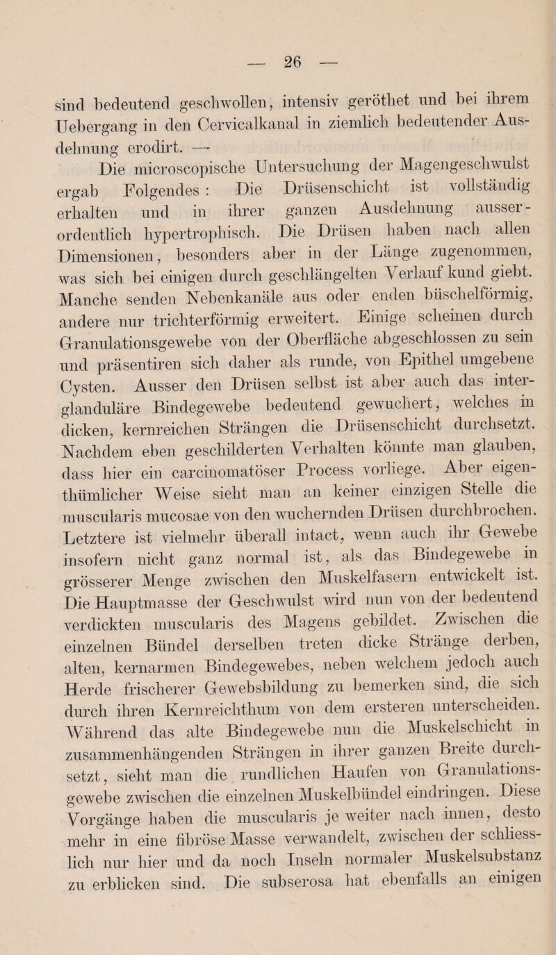 sind bedeutend geschwollen, intensiv gerötlret und bei ihrem Uebergang in den Cervicalkanal in ziemlich bedeutender Aus¬ dehnung erodirt. —- Die microscopische Untersuchung der Magengeschwulst ergab Folgendes i Die Drüsenschicht ist v ollstündig erhalten und in ihrer ganzen Ausdehnung aussei - ordentlich hypertrophisch. Die Drüsen haben nach allen Dimensionen, besonders aber in der Länge zugenommen, was sich bei einigen durch geschlängelten \ erlauf kund giebt. Manche senden Nebenkanäle aus oder enden büschelförmig, andere nur trichterförmig erweitert. Einige scheinen durch Granulationsgewebe von der Oberfläche abgeschlossen zu sein und präsentiren sich daher als runde, von Epithel umgebene Cysten. Ausser den Drüsen selbst ist aber auch das inter¬ glanduläre Bindegewebe bedeutend gewuchert, welches in dicken, kernreichen Strängen die Drüsenschicht durchsetzt. Nachdem eben geschilderten Verhalten könnte man glauben, dass hier ein carcinomatöser Process vorliege. Aber eigen¬ tümlicher Weise sieht man an keiner einzigen Stelle die muscularis mucosae von den wuchernden Drüsen durchbiochen. Letztere ist vielmehr überall intact, wenn auch ihr Gewebe insofern nicht ganz normal ist, als das Bindegewebe in grösserer Menge zwischen den Muskelfasern entwickelt ist. Die Hauptmasse der Geschwulst wird nun von der bedeutend verdickten muscularis des Magens gebildet. Zwischen die einzelnen Bündel derselben treten dicke Stränge derben, alten, kernarmen Bindegewebes, neben welchem jedoch auch Herde frischerer Gewebsbildung zu bemerken sind, die sich durch ihren Kernreichthum von dem ersteren unterscheiden. Während das alte Bindegewebe nun die Muskelschicht in zusammenhängenden Strängen in ihrer ganzen Breite durch¬ setzt, sieht man die rundlichen Haufen von Granulations¬ gewebe zwischen die einzelnen Muskelbündel eindringen. Diese Vorgänge haben die muscularis je weiter nach innen, desto mehr in eine fibröse Masse verwandelt, zwischen der schliess¬ lich nur hier und da noch Inseln normaler Muskelsubstanz zu erblicken sind. Die subserosa hat ebenfalls an einigen