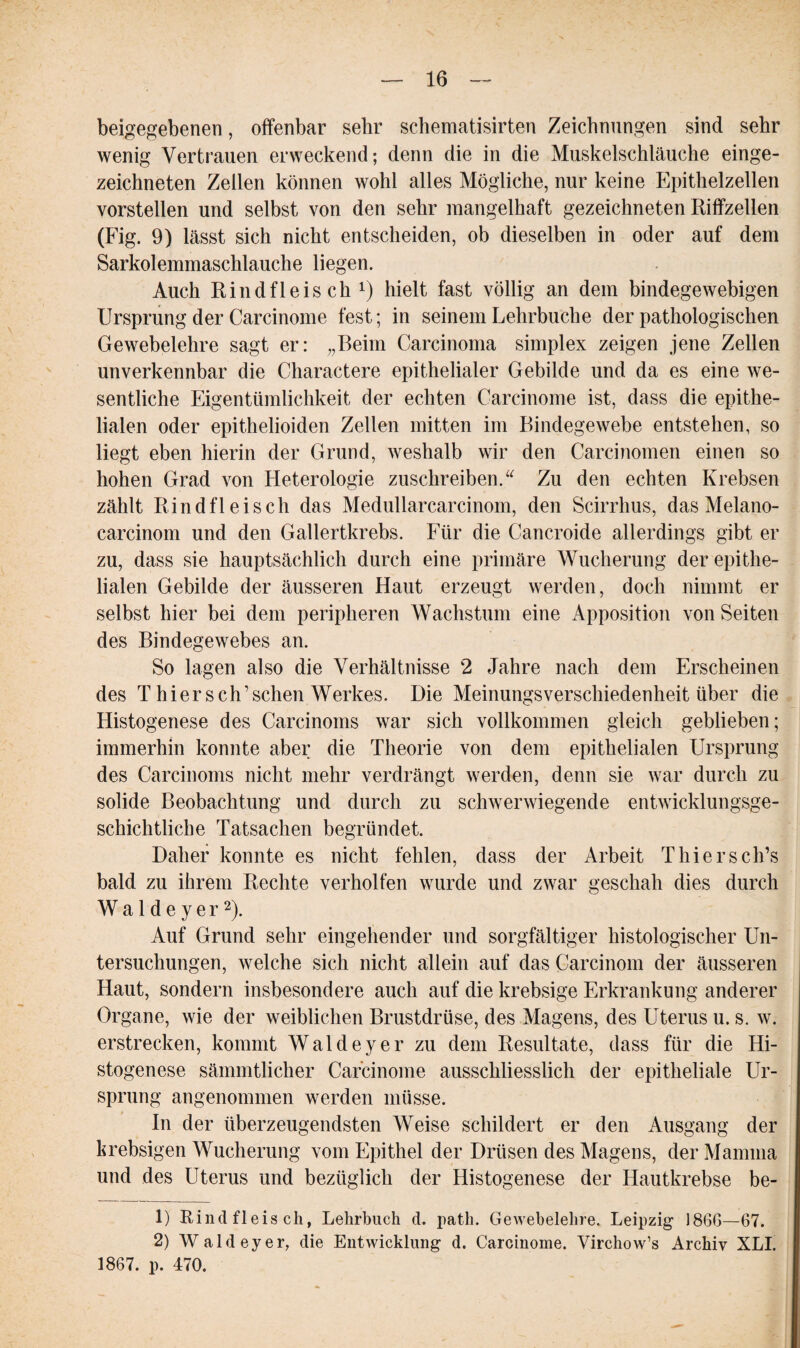 beigegebenen, offenbar sehr schematisirten Zeichnungen sind sehr wenig Vertrauen erweckend; denn die in die Muskelschläuche einge¬ zeichneten Zellen können wohl alles Mögliche, nur keine Epithelzellen vorstellen und selbst von den sehr mangelhaft gezeichneten Riffzellen (Fig. 9) lässt sich nicht entscheiden, ob dieselben in oder auf dem Sarkolemmaschlauche liegen. Auch Rindfleisch1) hielt fast völlig an dem bindegewebigen Ursprung der Carcinome fest; in seinem Lehrbuche der pathologischen Gewebelehre sagt er: „Beim Carcinoma simplex zeigen jene Zellen unverkennbar die Charactere epithelialer Gebilde und da es eine we¬ sentliche Eigentümlichkeit der echten Carcinome ist, dass die epithe¬ lialen oder epithelioiden Zellen mitten im Bindegewebe entstehen, so liegt eben hierin der Grund, weshalb wir den Carcinomen einen so hohen Grad von Heterologie zuschreiben.“ Zu den echten Krebsen zählt Rindfleisch das Medullarcarcinom, den Scirrhus, das Melano- carcinom und den Gallertkrebs. Für die Cancroide allerdings gibt er zu, dass sie hauptsächlich durch eine primäre Wucherung der epithe¬ lialen Gebilde der äusseren Haut erzeugt werden, doch nimmt er selbst hier bei dem peripheren Wachstum eine Apposition von Seiten des Bindegewebes an. So lagen also die Verhältnisse 2 Jahre nach dem Erscheinen des Thiersch’schen Werkes. Die Meinungsverschiedenheit über die Histogenese des Carcinoms war sich vollkommen gleich geblieben; immerhin konnte aber die Theorie von dem epithelialen Ursprung des Carcinoms nicht mehr verdrängt werden, denn sie war durch zu solide Beobachtung und durch zu schwerwiegende entwicklungsge¬ schichtliche Tatsachen begründet. Daher konnte es nicht fehlen, dass der Arbeit Thiers ch’s bald zu ihrem Rechte verholten wurde und zwar geschah dies durch W a 1 d e y e r2). Auf Grund sehr eingehender und sorgfältiger histologischer Un¬ tersuchungen, welche sich nicht allein auf das Carcinom der äusseren Haut, sondern insbesondere auch auf die krebsige Erkrankung anderer Organe, wie der weiblichen Brustdrüse, des Magens, des Uterus u. s. w. erstrecken, kommt Waldeyer zu dem Resultate, dass für die Hi¬ stogenese sämmtlicher Carcinome ausschliesslich der epitheliale Ur¬ sprung angenommen werden müsse. In der überzeugendsten Weise schildert er den Ausgang der krebsigen Wucherung vom Epithel der Drüsen des Magens, der Mamma und des Uterus und bezüglich der Histogenese der Hautkrebse be- 1) Rindfleisch, Lehrbuch d. path. Gewebelehre. Leipzig 186G—67. 2) Waldeyer, die Entwicklung d. Carcinome. Virchow’s Archiv XLI. 1867. p. 470.