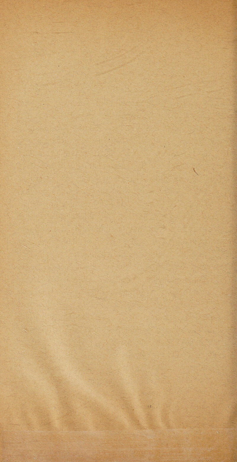 - - ■ -. ■ .. .• ät - - --. ' -v ~ ' - - -C ' - ' ; ••■»-»«.;-- y * - ■ . • -• -r- ■ - • • '•>'„■ «• . • V 3j* - '-y J - . - - - y - -vW ■ - . ' - . 'i • - - ---- - - ----- . 1 y.- . . - ‘ i •• ; ... • -• ' , . r •y/v: - - 8 ,-y • -. ' _... .: - . J - ••• - - - ' : I' . y .' -  - ... - -c . ■ ’ - ■— -’c.- ■ ■ - - --- V- . - :• ':U; • -?■/■ - _ - - - *...• - .,q v-r.- - . yyy--yy' v- - y . - ■ -- > ' ^ - - • -- -- r:$f: . - y - - - . . ----- :-- - ' --■ - . -.- -, i \ • -- - -- -'S>- - . ■. • V • ;.v-=Ti> . . , - • ' - . . ' .'*W8 -y- . ; - . / . - ; - . - o- - ; -- j. - - - - - - - y ’ . : ./ - y V