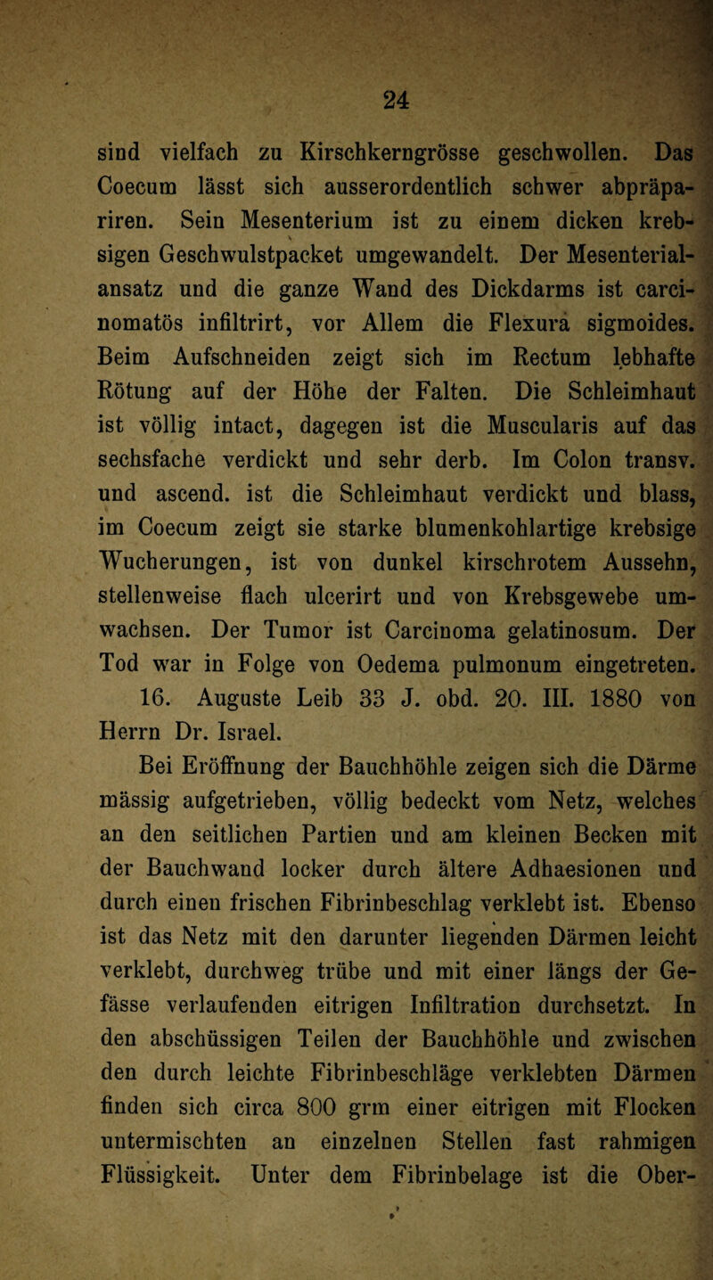 sind vielfach zu Kirschkerngrösse geschwollen. Das Coecum lässt sich ausserordentlich schwer abpräpa- riren. Sein Mesenterium ist zu einem dicken kreb- V sigen Geschwulstpacket umgewandelt. Der Mesenterial¬ ansatz und die ganze Wand des Dickdarms ist carci- nomatös infiltrirt, vor Allem die Flexurä sigmoides. Beim Aufschneiden zeigt sich im Rectum lebhafte Rötung auf der Höhe der Falten. Die Schleimhaut ist völlig intact, dagegen ist die Muscularis auf das sechsfache verdickt und sehr derb. Im Colon transv. und ascend. ist die Schleimhaut verdickt und blass, im Coecum zeigt sie starke blumenkohlartige krebsige Wucherungen, ist von dunkel kirschrotem Aussehn, stellenweise flach ulcerirt und von Krebsgewebe um¬ wachsen. Der Tumor ist Carcinoma gelatinosum. Der Tod w'ar in Folge von Oedema pulmonum eingetreten. 16. Auguste Leib 33 J. obd. 20. III. 1880 von Herrn Dr. Israel. Bei Eröffnung der Bauchhöhle zeigen sich die Därme mässig aufgetrieben, völlig bedeckt vom Netz, welches an den seitlichen Partien und am kleinen Becken mit der Bauchwand locker durch ältere Adhaesionen und durch einen frischen Fibrinbeschlag verklebt ist. Ebenso ist das Netz mit den darunter liegenden Därmen leicht verklebt, durchweg trübe und mit einer längs der Ge- fässe verlaufenden eitrigen Infiltration durchsetzt. In den abschüssigen Teilen der Bauchhöhle und zwischen den durch leichte Fibrinbeschläge verklebten Därmen finden sich circa 800 grm einer eitrigen mit Flocken untermischten an einzelnen Stellen fast rahmigen Flüssigkeit. Unter dem Fibrinbelage ist die Ober- f »