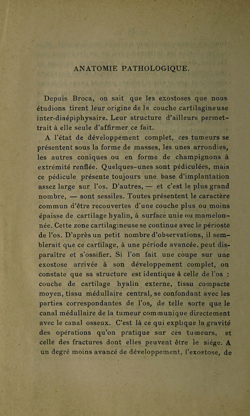 ANATOMIE PATHOLOGIQUE. Depuis Broca, on sait que les exostoses que nous étudions tirent leur origine de la couche cartilagineuse inter-diaépiphysaire. Leur structure d’ailleurs permet¬ trait a elle seule d’affirmer ce fait. A l’état de développement complet, ces tumeurs se présentent sous la forme de masses, les unes arrondies, les autres coniques ou en forme de champignons à extrémité renflée. Quelques-unes sont pédiculées, mais ce pédicule présente toujours une base d’implantation assez large sur l’os. D’autres, — et c’est le plus grand nombre, — sont sessiles. Toutes présentent le caractère commun d’être recouvertes d’une couche plus ou moins épaisse de cartilage hyalin, à surface unie ou mamelon¬ née. Cette zone cartilagineuse se continue avec le périoste de l’os. D’après un petit nombre d’observations, il sem¬ blerait que ce cartilage, à une période avancée, peut dis¬ paraître et s'ossifier. Si l’on fait une coupe sur une exostose arrivée à son développement complet, on constate que sa structure est identique à celle de l’os : couche de cartilage hyalin externe, tissu compacte moyen, tissu médullaire central, se confondant avec les parties correspondantes de l’os, de telle sorte que le canal médullaire de la tumeur communique directement avec le canal osseux. C’est là ce qui explique la gravité des opérations qu’on pratique sur cés tumeurs, et celle des fractures dont elles peuvent être le siège. A un degré moins avancé de développement, l’exostose, de