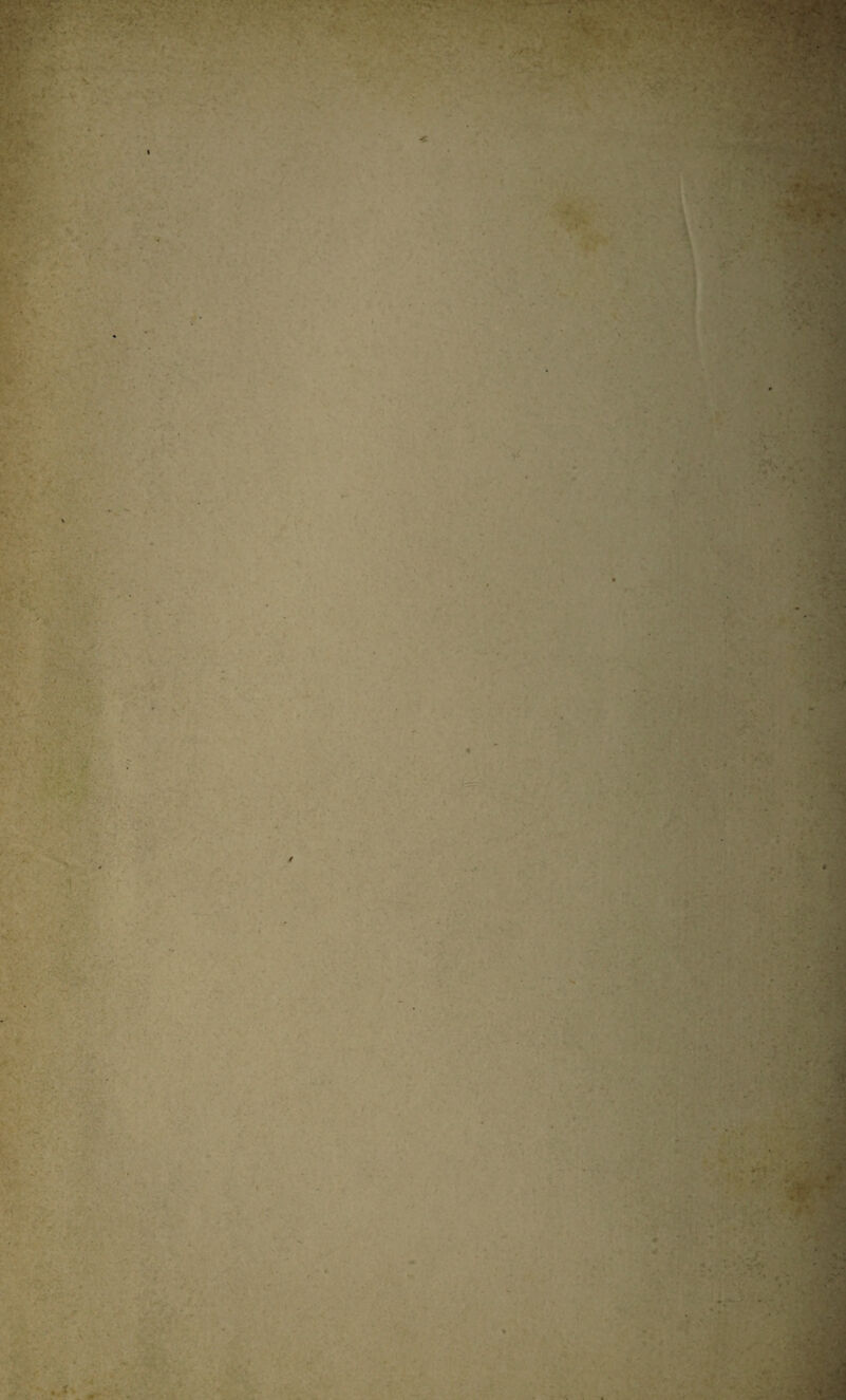 ' ■ ■ - • * ** ‘ ■ . * - • • . - • , ’ , ■ ¥ : ' pi ’Sm* - - ■ ■ . . • ■■■ ? . • - ' ■ . T* * ■ ..  J* ■ ■ • • • ' ■Mrs; ' 't r, ' ' >■*:# ••, - nlè> - . .‘V* - v. ' * • * - ,-j ■ ••• a V V.- ■ ' - * v. , • :■ ■ v > ' • • v h - ■ •. - . ■ >, .