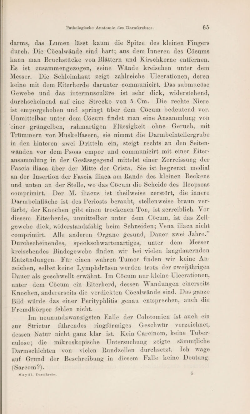 (larms, das Lumen lässt kaum die Spitze des kleinen Fingers durcli. Die Cöcalwände sind hart; aus dem Inneren des Cöcums kann man Bruchstücke von Blättern und Kirschkerne entfernen. Es ist zusammengezogen, seine Wände kreischen unter dem i\Iesser. Die Schleimhaut zeigt zahlreiche Ulcerationen, deren keine mit dem Eiterherde darunter communicirt. Das submucöse (lewebe und das intermusculäre ist sehr dick, widerstehend, durchscheinend auf eine Strecke von 5 Cm. Die rechte Niere ist em])orgehoben und springt über dem Cöcum bedeutend vor. Unmittelbar unter dem Cöcum findet man eine Ansammlung von einer grüngelben, rahmartigen Flüssigkeit ohne Geruch, mit Trümmern von IMuskelfasern, sie nimmt die Darmbeintellergrube in den hinteren zwei Dritteln ein, steigt rechts an den Seiten¬ wänden vor dem Psoas empor und communicirt mit einer Eiter- ansammlung in der Gesässgegend mittelst einer Zerreissung der Fascia iliaca über der Mitte der Crista. Sie ist begrenzt medial an der Insertion der Fascia iliaca am Rande des kleinen Beckens und unten an der Stelle, wo das Cöcum die Scheide des Ileopsoas comprimirt. Der M. iliacus ist theilweise zerstört, die innere Darmbeinfläche ist des Periosts beraubt, stellenweise braun ver¬ färbt, der Knochen gibt einen trockenen Ton, ist zerreiblich. Vor diesem Eiterherde, unmittelbar unter dem Cöcum, ist das Zell¬ gewebe dick, widerstandsfähig beim Schneiden; Vena iliaca nicht com])rimirt. Alle anderen Organe gesund, Dauer zwei Jahre.” Durchscheinendes, speckschwartenartiges, unter dem Messer kreischendes Bindegewebe finden wir bei vielen langdauernden Entzündungen. Für einen wahren Tumor finden wir keine An¬ zeichen, selbst keine Lymphdrüsen 'vverden trotz der zweijährigen Dauer als geschw'ellt erwähnt. Im Cöcum nur kleine Ulcerationen, unter dem Cöcum ein Eiterherd, dessen Wandungen einerseits Knochen, andererseits die verdickten Cöcalwände sind. Das ganze Bild würde das einer Perityphlitis genau entsprechen, auch die Fremdkörper fehlen nicht. Im neunundzwanzigsten Falle der Colotomien ist auch ein zur Strictur führendes ringförmiges Geschwür verzeichnet, dessen Natur nicht ganz klar ist. Kein Carcinom, keine Tuber- culose; die mikroskopische Untersuchung zeigte sämmtliche Darmschichten von vielen Rundzellen durchsetzt. Ich wage auf Grund der Beschreibung in diesem Falle keine Deutung. (Sarcom?). M n y i11. nnrmkrpb«.