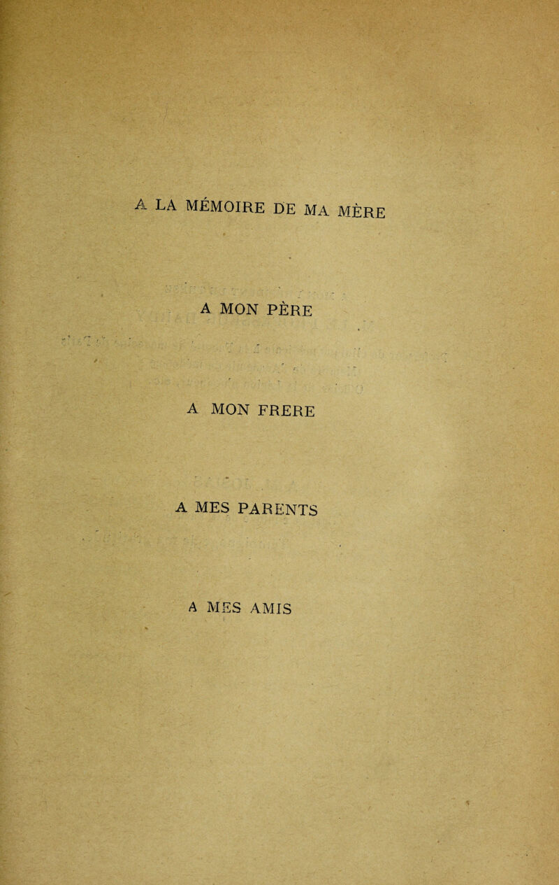 A LA MÉMOIRE DE MA MÈRE A MON PÈRE A MON FRERE A MES PARENTS A MES AMIS