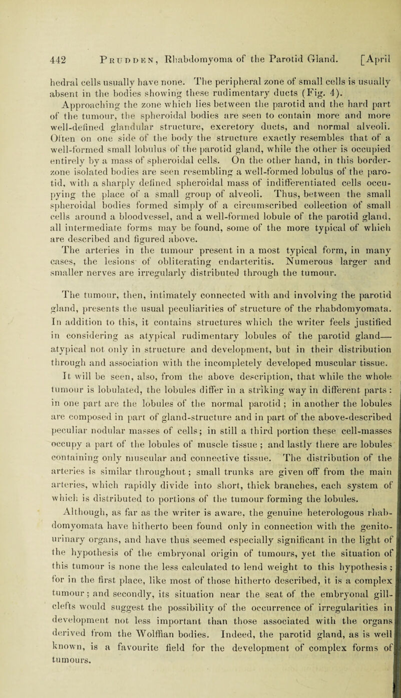 hedral cells usually have none. The peripheral zone of small cells is usually absent in the bodies showing these rudimentary ducts (Fig. 4). Approaching the zone which lies between the parotid and the hard part of the tumour, the spheroidal bodies are seen to contain more and more well-defined glandular structure, excretory ducts, and normal alveoli. Often on one side of the body the structure exactly resembles that of a well-formed small lobulus of the parotid gland, while the other is occupied entirely by a mass of spheroidal cells. On the other hand, in this border- zone isolated bodies are seen resembling a well-formed lobulus of the paro¬ tid, with a sharply defined spheroidal mass of inditferentiated cells occu¬ pying the place of a small group of alveoli. Thus, between the small spheroidal bodies formed simply of a circumscribed collection of small cells around a bloodvessel, and a well-formed lobule of the parotid gland, all intermediate forms may be found, some of the more typical of which are described and figured above. The arteries in the tumour present in a most typical form, in many cases, the lesions- of obliterating endarteritis. Numerous larger and smaller nerves are irregularly distributed through the tumour. The tumour, then, intimately connected with and involving the parotid gland, presents the usual peculiarities of structure of the rhabdomyomata. In addition to this, it contains structures which the writer feels justified in considering as atypical rudimentary lobules of the parotid gland— atypical not only in structure and development, but in their distribution tiirough and association with the incompletely developed muscular tissue. It will be seen, also, from the above description, that while the whole tumour is lobulated, the lobules differ in a striking way in different parts ; in one part are the lobules of the normal parotid ; in another the lobules are composed in part of gland-structure and in part of the above-described peculiar nodular masses of cells; in still a third portion these cell-masses occupy a part of the lobules of muscle tissue ; and lastly there are lobules containing only muscular and connective tissue. The distribution of the arteries is similar throughout; small trunks are given off from the main arteries, which rapidly divide into short, thick branches, each system of which is distributed to portions of the tumour forming the lobules. Although, as far as the writer is aware, the genuine heterologous rliab- domyornata have hitherto been found only in connection with the genito¬ urinary organs, and have thus seemed especially significant in the light of the hypothesis of the embryonal origin of tumours, yet the situation of this tumour is none the less calculated to lend weight to this hypothesis ; for in the first place, like most of those hitherto described, it is a complex tumour; and secondly, its situation near the seat of the embryonal gill- clefts would suggest the possibility of the occurrence of irregularities in development not less important than those associated with the organs derived from the Wolffian bodies. Indeed, the parotid gland, as is well known, is a favourite field for the development of complex forms of tumours.