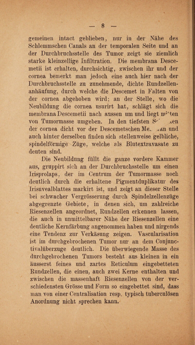 gemeinen intact geblieben, nur in der Nähe des Schlemm sehen Canals an der temporalen Seite und an der Durchbruchsstelle des Tumor zeigt sie ziemlich starke kleinzellige Infiltration. Die membrana Desce- metii ist erhalten, durchsichtig, zwischen ihr und der cornea bemerkt man jedoch eine auch hier nach der Durchbruchsstelle zu zunehmende, dichte Rundzellen- anhäufung, durch welche die Descemet in Falten von der cornea abgehoben wird; an der Stelle, wo die Neubildung die cornea usurirt hat, schlägt sich die membrana Descemetii nach aussen um und liegt nr'ten von Tumormasse umgeben. In den tiefsten Sr' ten der cornea dicht vor der Descemetschen Me._ Aan und auch hinter derselben finden sich stellenweise gelbliche, spindelförmige Züge, welche als Blutextravasate zu deuten sind. Die Neubildung füllt die ganze vordere Kammer aus, gruppirt sich an der Durchbruchsstelle um einen Irisprolaps, der im Centrum der Tumormasse noch deutlich durch die erhaltene Pigmentduplikatur des Irisuvealblattes markirt ist, und zeigt an dieser Stelle bei schwacher Vergrösserung durch Spindelzellenzüge abgegrenzte Gebiete, in denen sich, um zahlreiche Riesenzellen angeordnet, Rundzellen erkennen lassen, die auch in unmittelbarer Nähe der Riesenzellen eine deutliche Kernfärbung angenommen haben und nirgends eine Tendenz zur Verkäsung zeigen. Vascularisation ist im durch gebrochenen Tumor nur an dem Conjunc- tivaltiberzuge deutlich. Die überwiegende Masse des durchgebrochenen Tumors besteht aus kleinen in ein äusserst feines und zartes Reticulum eingebetteten Rundzellen, die einen, auch zwei Kerne enthalten und zwischen die massenhaft Riesenzellen von der ver¬ schiedensten Grösse und Form so eingebettet sind, dass man von einer Centralisation resp. typisch tuberculösen Anordnung nicht sprechen kann.