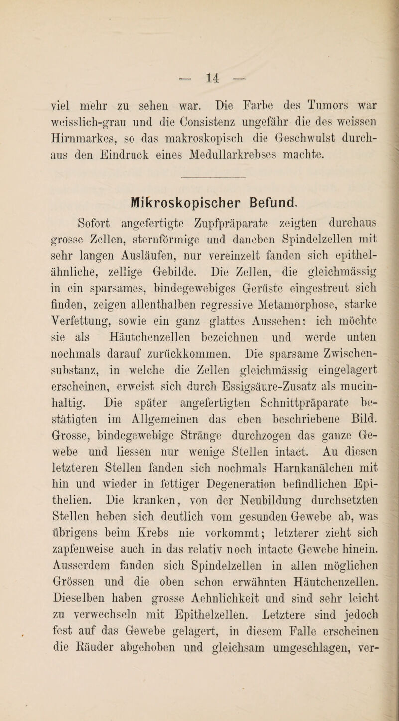 viel mehr zu sehen war. Die Farbe des Tumors war weisslich-grau und die Consistenz ungefähr die des weissen Hirnmarkes, so das makroskopisch die Geschwulst durch¬ aus den Eindruck eines Medullarkrebses machte. Mikroskopischer Befund. Sofort angefertigte Zupfpräparate zeigten durchaus grosse Zellen, sternförmige und daneben Spindelzellen mit sehr langen Ausläufen, nur vereinzelt fanden sich epithel¬ ähnliche, zellige Gebilde. Die Zellen, die gleichmässig in ein sparsames, bindegewebiges Gerüste eingestreut sich finden, zeigen allenthalben regressive Metamorphose, starke Verfettung, sowie ein ganz glattes Aussehen: ich möchte sie als Häutchenzellen bezeichnen und werde unten nochmals darauf zurückkommen. Die sparsame Zwischen¬ substanz, in welche die Zellen gleichmässig eingelagert erscheinen, erweist sich durch Essigsäure-Zusatz als mucin- haltig. Die später angefertigten Schnittpräparate be¬ stätigten im Allgemeinen das eben beschriebene Bild. Grosse, bindegewebige Stränge durchzogen das ganze Ge¬ webe und liessen nur wenige Stellen intact. Au diesen letzteren Stellen fanden sich nochmals Harnkanälchen mit hin und wieder in fettiger Degeneration befindlichen Epi- thelien. Die kranken, von der Neubildung durchsetzten Stellen heben sich deutlich vom gesunden Gewebe ab, was übrigens beim Krebs nie vorkommt; letzterer zieht sich zapfen weise auch in das relativ noch intacte Gewebe hinein. Ausserdem fanden sich Spindelzellen in allen möglichen Grössen und die oben schon erwähnten Häutchenzellen. Dieselben haben grosse Aehnlichkeit und sind sehr leicht zu verwechseln mit Epithelzellen. Letztere sind jedoch fest auf das Gewebe gelagert, in diesem Falle erscheinen die Räuder abgehoben und gleichsam umgeschlagen, ver-