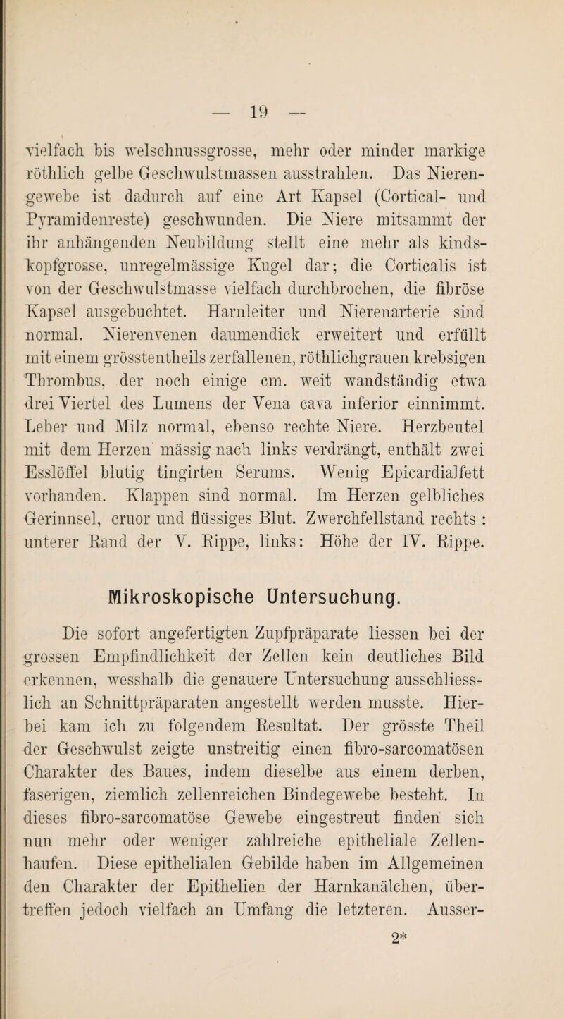 vielfach bis welschnussgrosse, mehr oder minder markige röthlich gelbe Geschwulstmassen ausstrahlen. Das Nieren¬ gewebe ist dadurch auf eine Art Kapsel (Cortical- und Pyramidenreste) geschwunden. Die Niere mitsammt der ihr anhängenden Neubildung stellt eine mehr als kinds¬ kopfgrosse, unregelmässige Kugel dar; die Corticalis ist von der Geschwulstmasse vielfach durchbrochen, die fibröse Kapsel ausgebuchtet. Harnleiter und Nierenarterie sind normal. Nierenvenen daumendick erweitert und erfüllt mit einem grösstentheils zerfallenen, röthlichgrauen krebsigen Thrombus, der noch einige cm. weit wandständig etwa drei Viertel des Lumens der Vena cava inferior einnimmt. Leber und Milz normal, ebenso rechte Niere. Herzbeutel mit dem Herzen mässig nach links verdrängt, enthält zwei Esslöffel blutig tingirten Serums. Wenig Epicardialfett vorhanden. Klappen sind normal. Im Herzen gelbliches Gerinnsel, cruor und flüssiges Blut. Zwerchfellstand rechts : unterer Band der V. Kippe, links: Höhe der IV. Rippe. Mikroskopische Untersuchung. Die sofort angefertigten Zupfpräparate liessen bei der grossen Empfindlichkeit der Zellen kein deutliches Bild erkennen, wesshalb die genauere Untersuchung ausschliess¬ lich an Schnittpräparaten angestellt werden musste. Hier¬ bei kam ich zu folgendem Resultat. Der grösste Theil der Geschwulst zeigte unstreitig einen fibro-sarcomatösen Charakter des Baues, indem dieselbe aus einem derben, faserigen, ziemlich zellenreichen Bindegewebe besteht. In dieses fibro-sarcomatöse Gewebe eingestreut finden sich nun mehr oder weniger zahlreiche epitheliale Zellen¬ haufen. Diese epithelialen Gebilde haben im Allgemeinen den Charakter der Epithelien der Harnkanälchen, über¬ treffen jedoch vielfach an Umfang die letzteren. Ausser- 2*