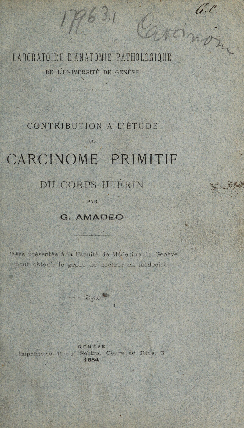 LABORATOIRE D'ANATOMIE PATHOLOGIQUE DK T, UNIVERSITE DE GENEVE CONTRIBUTION A L’ÉTUDE DU CARCINOME PRIMITIF DU CORPS UTERIN PAR Q* AMADEO • • Thèse présentée à la Faculté de Médecine de Genève pour obtenir le grade de docteur en médecine vu*» Jb >/eJO: c. ÜÈN ÉVÉ Imprimerie Rémy Scliira. Cours de Rive, S 1884