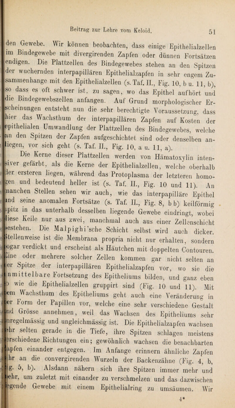 II Jliden Gewebe. Wir können beobachten, dass einige Epithelialzellen lim Bindegewebe mit divergirenden Zapfen oder dünnen Fortsätzen endigen. Die Plattzellen des Bindegewebes stehen an den Spitzen dei wuchernden interpapillären Epithelialzapfen in sehr engem Zu¬ sammenhänge mit den Epithelialzellen (s.Taf. II., Fig. 10, b u. 11, b), so dass es oft schwer ist, zu sagen, wo das Epithel auf hört und die Bindegewebszellen anfangen. Auf Grund morphologischer Er¬ scheinungen entsteht nun die sehr berechtigte Voraussetzung, dass hier das Wachsthum der interpapillären Zapfen auf Kosten der epithelialen Umwandlung der Plattzellen des Bindegewebes, welche an den Spitzen der Zapfen aufgeschichtet sind oder denselben an- hegen, vor sich geht (s. Taf. II., Fig. 10, a u. 11, a). Die Kerne dieser Plattzellen werden von Hämatoxylin inten¬ siver gefärbt, als die Kerne der Epithelialzellen, welche oberhalb Iler ersteren liegen, während das Protoplasma der letzteren homo¬ gen und bedeutend heller ist (s. Taf. II., Fig. 10 und 11). An ^nanchen Stellen sehen wir auch, wie das interpapilläre Epithel ind seine anomalen Fortsätze (s. Taf. II., Fig. 8, b b) keilförmig •pitz in das unterhalb desselben liegende Gewebe eindringt, wobei liese Keile nur aus zwei, manchmal auch aus einer Zellenschicht bestehen. Die Malpighi’sche Schicht selbst wird auch dicker. Stellenweise ist die Membrana propria nicht nur erhalten, sondern hogar verdickt und erscheint als Häutchen mit doppelten Contouren. Eine oder mehrere solcher Zellen kommen gar nicht selten an lei Spitze der interpapillären Epithelialzapfen vor, wo sie die Unmittelbare Fortsetzung des Epitheliums bilden, und ganz eben b wie die Epithelialzellen gruppirt sind (Fig. 10 und 11). Mit em Wachsthum des Epitheliums geht auch eine Veränderung in Ijer loim der Papillen vor, welche eine sehr verschiedene Gestalt hd Grösse annehmen, weil das Wachsen des Epitheliums sehr Inregelmässig und ungleichmässig ist. Die Epithelialzapfen wachsen ihr selten gerade in die Tiefe, ihre Spitzen schlagen meistens isrschiedene Richtungen ein; gewöhnlich wachsen die benachbarten %pfen einander entgegen. Im Anfänge erinnern ähnliche Zapfen hr an die convergirenden Wurzeln der Backenzähne (Fig. 4, b, \-O 7 g- 5, b). Alsdann nähern sich ihre Spitzen immer mehr und ■«ehr, um zuletzt mit einander zu verschmelzen und das dazwischen ||jgende Gewebe mit einem Epithelialring zu umsäumen. Wir