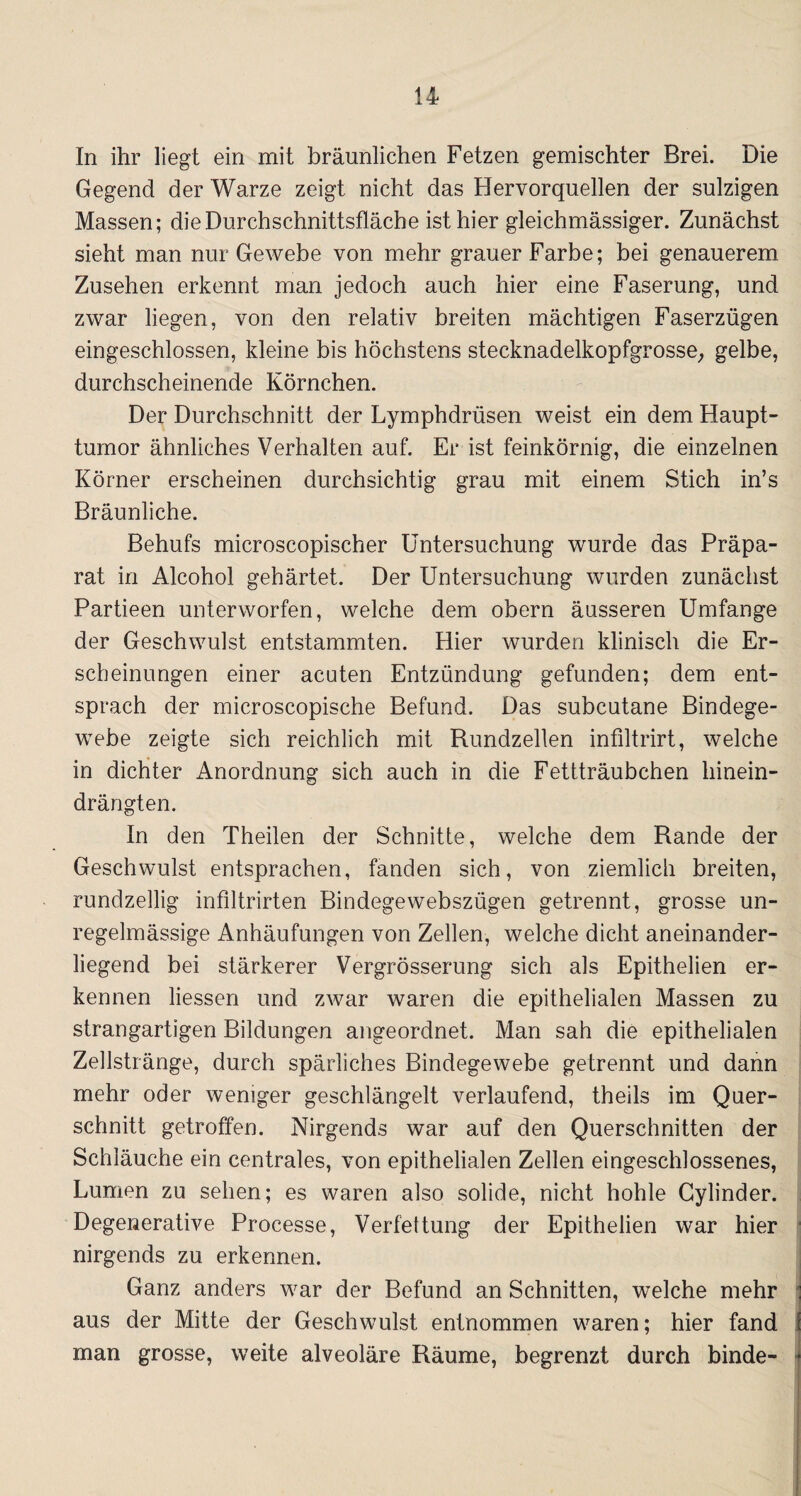 In ihr liegt ein mit bräunlichen Fetzen gemischter Brei. Die Gegend der Warze zeigt nicht das Hervorquellen der sulzigen Massen; die Durchschnittsfläche ist hier gleichmässiger. Zunächst sieht man nur Gewebe von mehr grauer Farbe; bei genauerem Zusehen erkennt man jedoch auch hier eine Faserung, und zwar liegen, von den relativ breiten mächtigen Faserzügen eingeschlossen, kleine bis höchstens stecknadelkopfgrosse, gelbe, durchscheinende Körnchen. Der Durchschnitt der Lymphdrüsen weist ein dem Haupt¬ tumor ähnliches Verhalten auf. Er ist feinkörnig, die einzelnen Körner erscheinen durchsichtig grau mit einem Stich in’s Bräunliche. Behufs microscopischer Untersuchung wurde das Präpa¬ rat in Alcohol gehärtet. Der Untersuchung wurden zunächst Partieen unterworfen, welche dem obern äusseren Umfange der Geschwulst entstammten. Hier wurden klinisch die Er¬ scheinungen einer acuten Entzündung gefunden; dem ent¬ sprach der microscopische Befund. Das subcutane Bindege¬ webe zeigte sich reichlich mit Rundzellen infiltrirt, welche in dichter Anordnung sich auch in die Fettträubchen hinein¬ drängten. In den Theilen der Schnitte, welche dem Rande der Geschwulst entsprachen, fanden sich, von ziemlich breiten, rundzellig infiltrirten Bindegewebszügen getrennt, grosse un¬ regelmässige Anhäufungen von Zellen, welche dicht aneinander¬ liegend bei stärkerer Vergrösserung sich als Epithelien er¬ kennen liessen und zwar waren die epithelialen Massen zu strangartigen Bildungen angeordnet. Man sah die epithelialen Zellstränge, durch spärliches Bindegewebe getrennt und dann mehr oder weniger geschlängelt verlaufend, theils im Quer¬ schnitt getroffen. Nirgends war auf den Querschnitten der Schläuche ein centrales, von epithelialen Zellen eingeschlossenes, Lumen zu sehen; es waren also solide, nicht hohle Cylinder. Degenerative Processe, Verfettung der Epithelien war hier nirgends zu erkennen. Ganz anders war der Befund an Schnitten, welche mehr aus der Mitte der Geschwulst entnommen waren; hier fand man grosse, weite alveoläre Räume, begrenzt durch binde-
