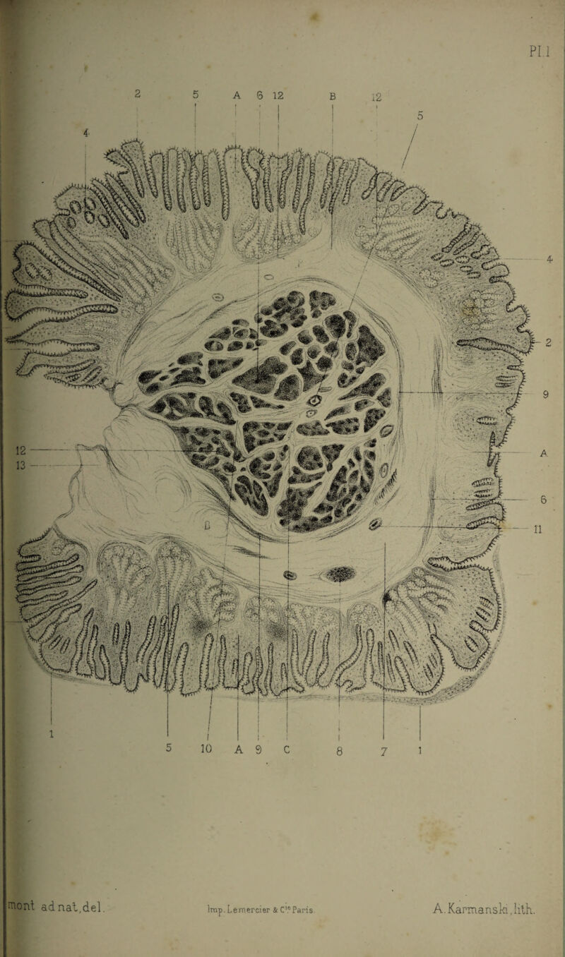 PU pont adnat.del. - . Irap.Le-mercier & C’eParis. A. Karmanski JltK.