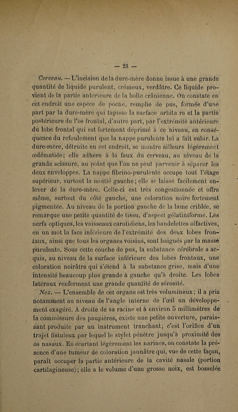 Cerveau. — L’incision de la dure-mère donne issue à une grande quantité de liquide purulent, crémeux, verdâtre. Ce liquide pro¬ vient de la partie antérieure de la boîte crânienne. On constate en cet endroit une espèce de poche, remplie de pus, formée d’une part par la dure-mère qui tapisse la surface orbitaire et la partie postérieure de l’os frontal, d’autre part, par b extrémité antérieure du lobe frontal qui est fortement déprimé à ce niveau, en consé¬ quence du refoulement que la nappe purulente lui a fait subir. La dure-mère, détruite en cet endroit, se montre ailleurs légèrement œdématiée; elle adhère à la faux du cerveau, au niveau de la grande scissure, au point que l’on ne peut parvenir à séparer les deux enveloppes. La nappe fîbrino-purulente occupe tout l’étage supérieur, surtout la moitié gauche; elle se laisse facilement en¬ lever de la dure-mère. Celle-ci est très congestionnée et offre même, surtout du côté gauche, une coloration noire fortement pigmentée. Au niveau de la portion gauche de la lame criblée, se remarque une petite quantité de tissu, d’aspect gélatiniforme. Les nerfs optiques, les vaisseaux carotidiens, les bandelettes olfactives, en un mot la face inférieure de l’extrémité des deux lobes fron¬ taux, ainsi que tous les organes voisins, sont baignés par la masse purulente. !Sous cette couche de pus, la substance cérébrale a ac¬ quis, au niveau de la surface inférieure des lobes frontaux, une coloration noirâtre qui s’étend à la substance grise, mais d’une intensité beaucoup plus grande à gauche qu’à droite. Les lobes latéraux renferment une grande quantité de sérosité. Nez. — L’ensemble de cet organe est très volumineux; il a pris notamment au niveau de l’angle interne de l’œil un développe¬ ment exagéré. A droite de sa racine et à environ 5 millimètres de la commissure des paupières, existe une petite ouverture, parais¬ sant produite par un instrument tranchant; c’est l’orifice d’un trajet fîstuleux par lequel le stylet pénètre jusqu’à proximité des os nasaux. En écartant légèrement les narines, on constate la pré¬ sence d’une tumeur de coloration jaunâtre qui, vue de cette façon, paraît occuper la partie antérieure de la cavité nasale (portion cartilagineuse) ; elle a le volume d’une grosse noix, est bosselée
