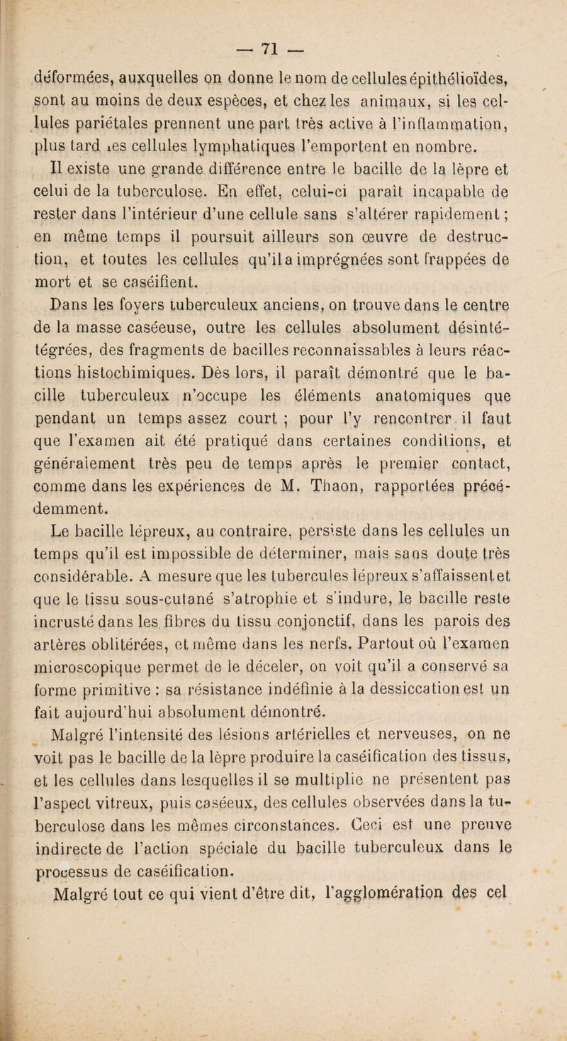 deformees, auxqueiles on donne lenom de cellulesepithelioides, sont au moins de deux especes, et chez les animaux, si les cel¬ lules parietales prennent une part tres active a I’inflammation, plus tard *es cellules lymphatiques l’emportent en nombre. II existe une grande difference entre le bacille de la lepre et celui de la tuberculose. En effet, celui-ci parait incapable de rester dans I’interieur d’une cellule sans s’alterer rapidement; en merne temps il poursuit ailleurs son oeuvre de destruc¬ tion, et toutes les cellules qu’ila impregnees sont frappees de mort'et se caseifient. Bans les foyers tuberculeux anciens, on trouve dans le centre de la masse caseeuse, outre les cellules absolument desinte- tegrees, des fragments de bacilles reconnaissables a leurs reac¬ tions histochimiques. Des lors, il parait demontre que le ba¬ cille tuberculeux n’occupe les elements anatomiques que pendant un temps assez court ; pour l’y rencontrer il faut que l’examen ait ete pratique dans certaines conditions, et generaiement tres peu de temps apres le premier contact, comme dans les experiences de M. Thaon, rapportees prece- demment. Le bacille lepreux, au contraire, persiste dans les cellules un temps qu’il est impossible de determiner, mais sans doute tres considerable. A mesure que les tubercules lepreux s’affaissentet que le tissu sous-cutane s’atrophie et s’iudure, le bacille reste incrustedans les fibres du tissu conjonctif, dans les parois des arteres obliterees, et meme dans les nerfs. Partout ou l’examen microscopique permet de le deceler, on voit qu’il a conserve sa forme primitive : sa resistance indefinie a la dessiccation est un fait aujourd’hui absolument demontre. Malgre l’intensite des lesions arterielles et nerveuses, on ne voit pas le bacille de la lepre produire la caseification des tissus, et les cellules dans lesquelles il se multiplie ne presentent pas l’aspect vitreux, puiscaseeux, des cellules observees dans la tu¬ berculose dans les memes circonstances. Geci est une preuve indirecte de faction speciale du bacille tuberculeux dans le processus de caseification. Malgre tout ce qui vient d’etre dit, l’agglomeration des cel