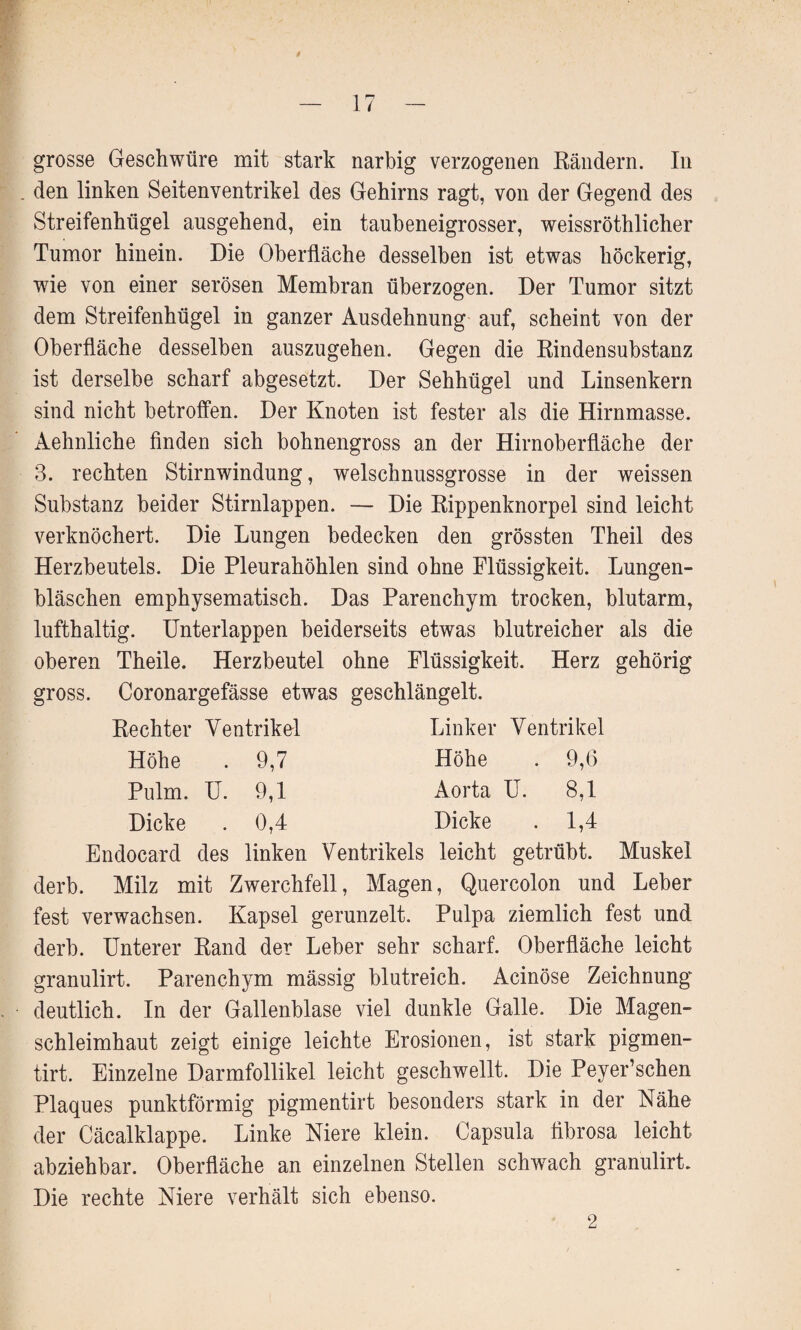 grosse Geschwüre mit stark narbig verzogenen Rändern. In . den linken Seitenventrikel des Gehirns ragt, von der Gegend des Streifenhügel ausgehend, ein taubeneigrosser, weissröthlicher Tumor hinein. Die Oberfläche desselben ist etwas höckerig, ■wie von einer serösen Membran überzogen. Der Tumor sitzt dem Streifenhügel in ganzer Ausdehnung auf, scheint von der Oberfläche desselben auszugehen. Gegen die Rindensubstanz ist derselbe scharf abgesetzt. Der Sehhügel und Linsenkern sind nicht betroffen. Der Knoten ist fester als die Hirnmasse. Aehnliche finden sich bohnengross an der Hirnoberfläche der 3. rechten Stirnwindung, welschnussgrosse in der weissen Substanz beider Stirnlappen. — Die Rippenknorpel sind leicht verknöchert. Die Lungen bedecken den grössten Theil des Herzbeutels. Die Pleurahöhlen sind ohne Flüssigkeit. Lungen¬ bläschen emphysematisch. Das Parenchym trocken, blutarm, lufthaltig. Unterlappen beiderseits etwas blutreicher als die oberen Theile. Herzbeutel ohne Flüssigkeit. Herz gehörig gross. Coronargefässe etwas geschlängelt. Rechter Ventrikel Höhe . 9,7 Pulm. U. 9,1 Dicke . 0,4 Linker Ventrikel Höhe . 9,6 Aorta U. 8,1 Dicke . 1,4 Endocard des linken Ventrikels leicht getrübt. Muskel derb. Milz mit Zwerchfell, Magen, Quercolon und Leber fest verwachsen. Kapsel gerunzelt. Pulpa ziemlich fest und derb. Unterer Rand der Leber sehr scharf. Oberfläche leicht granulirt. Parenchym mässig blutreich. Acinöse Zeichnung deutlich. In der Gallenblase viel dunkle Galle. Die Magen¬ schleimhaut zeigt einige leichte Erosionen, ist stark pigmen- tirt. Einzelne Darmfollikel leicht geschwellt. Die Peyer’schen Plaques punktförmig pigmentirt besonders stark in der Nähe der Cäcalklappe. Linke Niere klein. Capsula fibrosa leicht abziehbar. Oberfläche an einzelnen Stellen schwach granulirt. Die rechte Niere verhält sich ebenso. 2