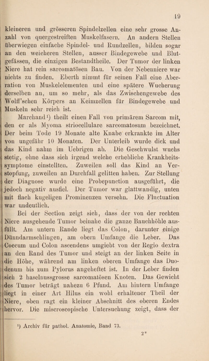 kleineren und grösseren Spindelzellen eine sehr grosse An¬ zahl von quergestreiften Muskelfasern. An andern Stellen überwiegen einfache Spindel- und Kundzellen, bilden sogar an den weicheren Stellen, ausser Bindegewebe und Blut¬ gefässen, die einzigen Bestandtheile. Der Tumor der linken Niere hat rein sarcomatösen Bau. Von der Nebenniere war nichts zu finden. Eberth nimmt für seinen Fall eine Aber¬ ration von Muskelelementen und eine spätere Wucherung derselben an, um so mehr, als das Zwischengewebe des IWolff’schen Körpers an Keimzellen für Bindegewebe und Muskeln sehr reich ist. Marchand ^) theilt einen Fall von primärem Sarcom mit, den er als Myoma striocellulare sarcomatosum bezeichnet. Der beim Tode 19 Monate alte Knabe erkrankte im Alter von ungefähr 10 Monaten. Der Unterleib wurde dick und das Kind nahm im Uebrigen ab. Die Geschwulst wuchs stetig, ohne dass sich irgend welche erhebliche Krankheits- I Symptome einstellten. Zuweilen soll das Kind an Ver- j Stopfung, zuweilen an Durchfall gelitten haben: Zur Stellung der Diagnose wurde eine Probepunction ausgeführt, die I jedoch negativ ausfiel. Der Tumor war glattwandig, unten I mit flach kugeligen Prominenzen versehn. Die Fluctuation i war undeutlich. j Bei der Section zeigt sich, dass der von der rechten i Niere ausgehende Tumor beinahe die ganze Bauchhöhle aus- l füllt. Am untern Rande liegt das Colon, darunter pinige IDünndarmschlingen, am obern Umfange die Leber. Das itlCoecum und Colon ascendens umgiebt von der Regio dextra lijan den Rand des Tumor und steigt an der linken Seite in 1' die Höhe, während am linken oberen Umfange das Duo¬ denum bis zum Pylorus angeheftet ist. In der Leber finden sich 2 haselnussgrosse sarcomatösen Knoten. Das Gewicht jdes Tumor beträgt nahezu 6 Pfund. Am hintern Umfange I liegt in einer Art Hilus ein wohl erhaltener Theil der »Niere, oben ragt ein kleiner Abschnitt des oberen Endes hervor. Die miscroscopische Untersuchung zeigt, dass der q Archiv für pathol. Anatomie, Band 73. 2*