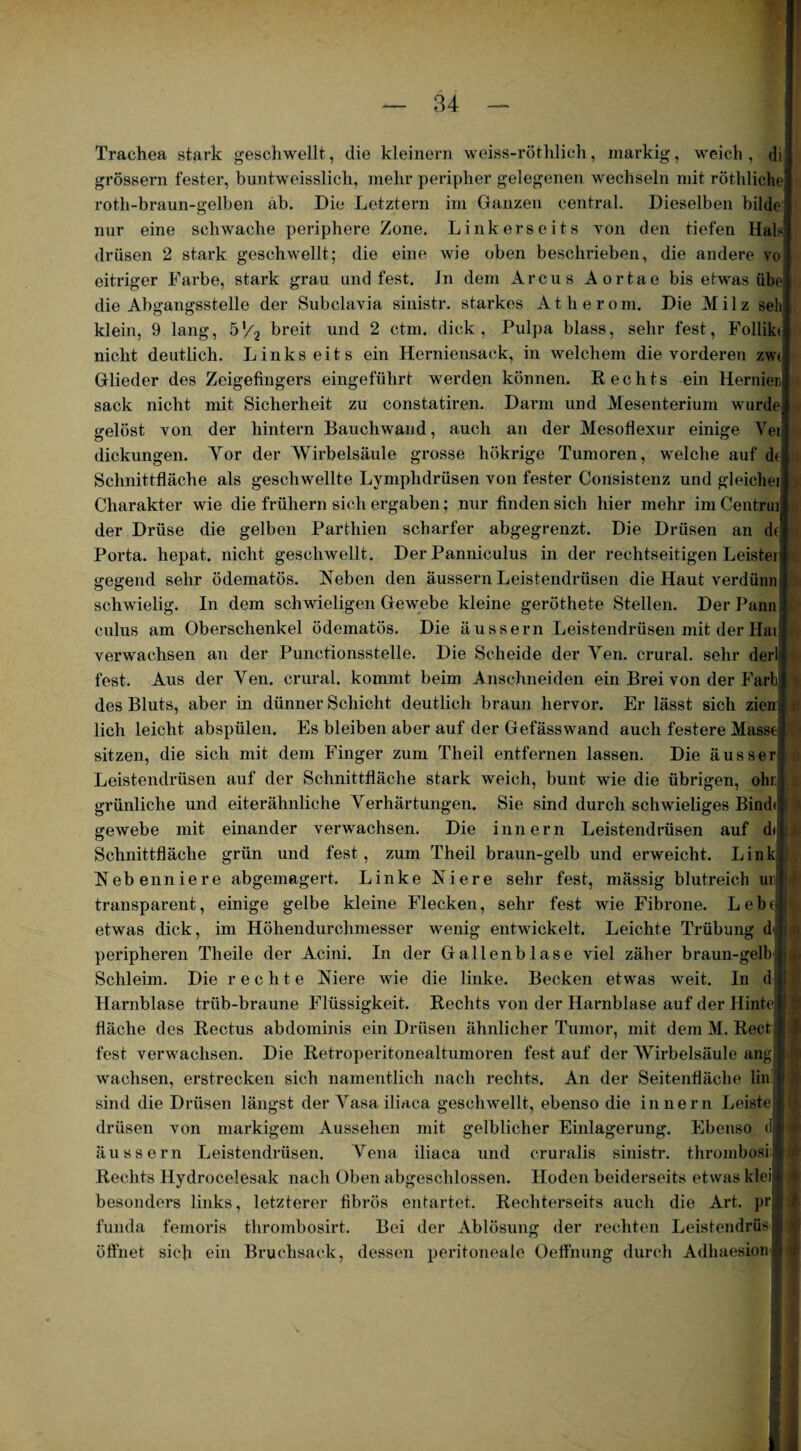 Trachea stark geschwellt, die kleinern weiss-röthlich, markig, weich , di grossem fester, buntweisslich, mehr peripher gelegenen wechseln mit röthliche roth-braun-gelben ab. Die Letztem im Ganzen central. Dieselben bilde nur eine schwache periphere Zone. Linkerseits von den tiefen Hals drüsen 2 stark geschwellt; die eine wie oben beschrieben, die andere vo eitriger Farbe, stark grau und fest. Jn dem Arcus Aortae bis etwas übe die Abgangsstelle der Subclavia sinistr. starkes Atherom. Die Milz seli klein, 9 lang, 5'/2 breit und 2 ctm. dick, Pulpa blass, sehr fest, Folliki nicht deutlich. Links eits ein Herniensack, in welchem die vorderen zw( Glieder des Zeigefingers eingeführt werden können. Rechts ein Hernien sack nicht mit Sicherheit zu constatiren. Darm und Mesenterium wurde gelöst von der hintern Bauchwand, auch an der Mesoflexur einige Vei dickungen. Yor der Wirbelsäule grosse hökrige Tumoren, welche auf dt Schnittfläche als geschwellte Lymphdrüsen von fester Consistenz und gleiche] Charakter wie die frühem sich ergaben; nur finden sich hier mehr im Centrui der Drüse die gelben Parthien scharfer abgegrenzt. Die Drüsen an de Porta, hepat. nicht geschwellt. Der Panniculus in der rechtseitigen Leister gegend sehr ödematös. Reben den äussern Leistendrüsen die Haut verdünn schwielig. In dem schwieligen Gewebe kleine geröthete Stellen. Der Pann culus am Oberschenkel ödematös. Die äussern Leistendrüsen mit der Hai verwachsen an der Punetionsstelle. Die Scheide der Yen. crural. sehr der! fest. Aus der Yen. crural. kommt beim Anschneiden ein Brei von der Färb des Bluts, aber in dünner Schicht deutlich braun hervor. Er lässt sich zieiij lieh leicht abspülen. Es bleiben aber auf der Gefässwand auch festere Masse , sitzen, die sich mit dem Finger zum Tlieil entfernen lassen. Die äusser Leistendrüsen auf der Schnittfläche stark weich, bunt wie die übrigen, ohr. grünliche und eiterähnliche Verhärtungen. Sie sind durch schwieliges Bind« ( gewebe mit einander verwachsen. Die innern Leistendrüsen auf d« ; Schnittfläche grün und fest, zum Theil braun-gelb und erweicht. Link Rebenniere abgemagert. Linke Riere sehr fest, mässig blutreich ur transparent, einige gelbe kleine Flecken, sehr fest wie Fibrone. Lebtl etwas dick, im Höhendurchmesser wenig entwickelt. Leichte Trübung d peripheren Theile der Acini. In der Gallenblase viel zäher braun-gelb Schleim. Die rechte Riere wie die linke. Becken etwas weit. In d Harnblase trüb-braune Flüssigkeit. Rechts von der Harnblase auf der Hinte fläche des Rectus abdominis ein Drüsen ähnlicher Tumor, mit dem M. Reet fest verwachsen. Die Retroperitonealtumoren fest auf der Wirbelsäule ang wachsen, erstrecken sich namentlich nach rechts. An der Seitenfläche lin sind die Drüsen längst der Vasa iliaca geschwellt, ebenso die innern Leiste.' drüsen von markigem Aussehen mit gelblicher Einlagerung. Ebenso d äussern Leistendrüsen. Vena iliaca und cruralis sinistr. thrombosi Rechts Hydrocelesak nach Oben abgeschlossen. Hoden beiderseits etwas kleij besonders links, letzterer fibrös entartet. Rechterseits auch die Art. pr 1 h funda femoris thrombosirt. Bei der Ablösung; der rechten Leistendrüs » t öffnet sich ein Bruchsack, dessen peritoneale Oelfnung durch Adhaesioni