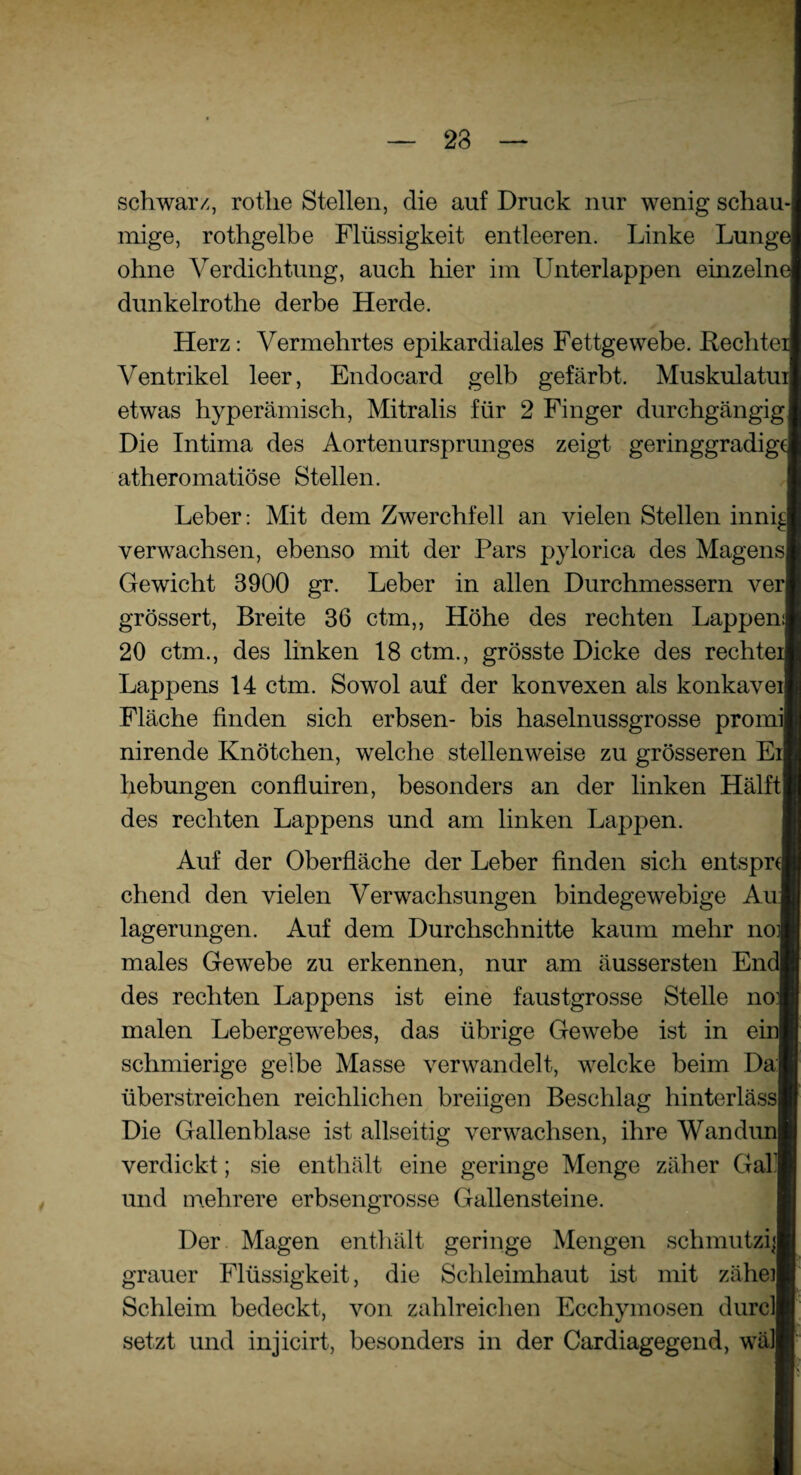 23 schwarz, rotlie Stellen, die auf Druck nur wenig schau-] mige, rothgelbe Flüssigkeit entleeren. Linke Lung( ohne Verdichtung, auch hier im Unterlappen einzelm dunkelrothe derbe Herde. Herz: Vermehrtes epikardiales Fettgewebe. Rechte] Ventrikel leer, Endocard gelb gefärbt. Muskulatui etwas hyperämisch, Mitralis für 2 Finger durchgängig! Die Intima des Aortenursprunges zeigt geringgradige atheromatiöse Stellen. Leber: Mit dem Zwerchfell an vielen Stellen inni| verwachsen, ebenso mit der Pars pylorica des Magens] Gewicht 3900 gr. Leber in allen Durchmessern verl grössert, Breite 36 ctm,, Höhe des rechten Lappen:| 20 ctm., des linken 18 ctm., grösste Dicke des rechte] Lappens 14 ctm. Sowol auf der konvexen als konkavei| Fläche finden sich erbsen- bis haselnussgrosse pron nirende Knötchen, welche stellenweise zu grösseren Ei hebungen confluiren, besonders an der linken Hälft] des rechten Lappens und am linken Lappen. Auf der Oberfläche der Leber finden sich entspr« chend den vielen Verwachsungen bindegewebige Au] lagerungen. Auf dem Durchschnitte kaum mehr noi] males Gewebe zu erkennen, nur am äussersten Ern des rechten Lappens ist eine faustgrosse Stelle noj malen Lebergewebes, das übrige Gewebe ist in ei schmierige gelbe Masse verwandelt, welcke beim Da] überstreichen reichlichen breiigen Beschlag hinterläss] Die Gallenblase ist allseitig verwachsen, ihre Wandun] verdickt; sie enthält eine geringe Menge zäher Gal] und mehrere erbsengrosse Gallensteine. Der Magen enthält geringe Mengen schmutzi] grauer Flüssigkeit, die Schleimhaut ist mit zähe] Schleim bedeckt, von zahlreichen Ecchymosen durcl setzt und injicirt, besonders in der Cardiagegend, wäl