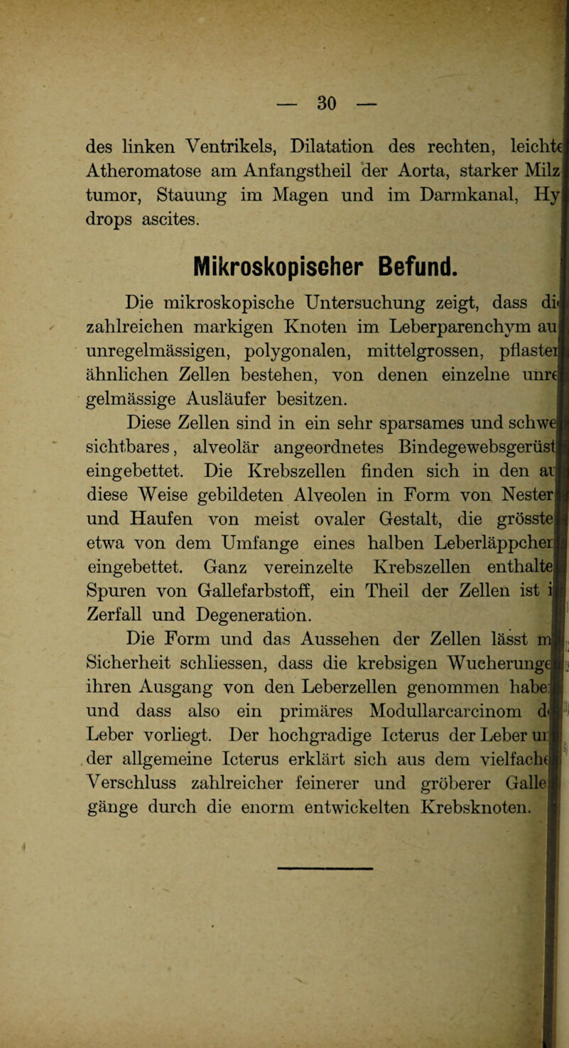 des linken Ventrikels, Dilatation des rechten, leichte Atheromatose am Anfangstheil der Aorta, starker Milz tumor, Stauung im Magen und im Darmkanal, Hy drops ascites. Mikroskopischer Befund. Die mikroskopische Untersuchung zeigt, dass di<|< zahlreichen markigen Knoten im Leberparenchym au|| unregelmässigen, polygonalen, mittelgrossen, pflasteil ähnlichen Zellen bestehen, von denen einzelne unrqfl gelmässige Ausläufer besitzen. Diese Zellen sind in ein sehr sparsames und schwel sichtbares, alveolär angeordnetes Bindegewebsgerüstp eingebettet. Die Krebszellen finden sich in den aifl diese Weise gebildeten Alveolen in Form von Nester und Haufen von meist ovaler Gestalt, die grösste« etwa von dem Umfange eines halben Leberläppcheil eingebettet. Ganz vereinzelte Krebszellen enthalte« Spuren von Gallefarbstoff, ein Theil der Zellen ist il Zerfall und Degeneration. Die Form und das Aussehen der Zellen lässt mB Sicherheit schliessen, dass die krebsigen Wucherung« ihren Ausgang von den Leberzellen genommen habe:l und dass also ein primäres Modullarcarcinom dulr1 Leber vorliegt. Der hochgradige Icterus der Leber ur li der allgemeine Icterus erklärt sich aus dem vielfach*! Verschluss zahlreicher feinerer und gröberer Galle 1 gänge durch die enorm entwickelten Krebsknoten.