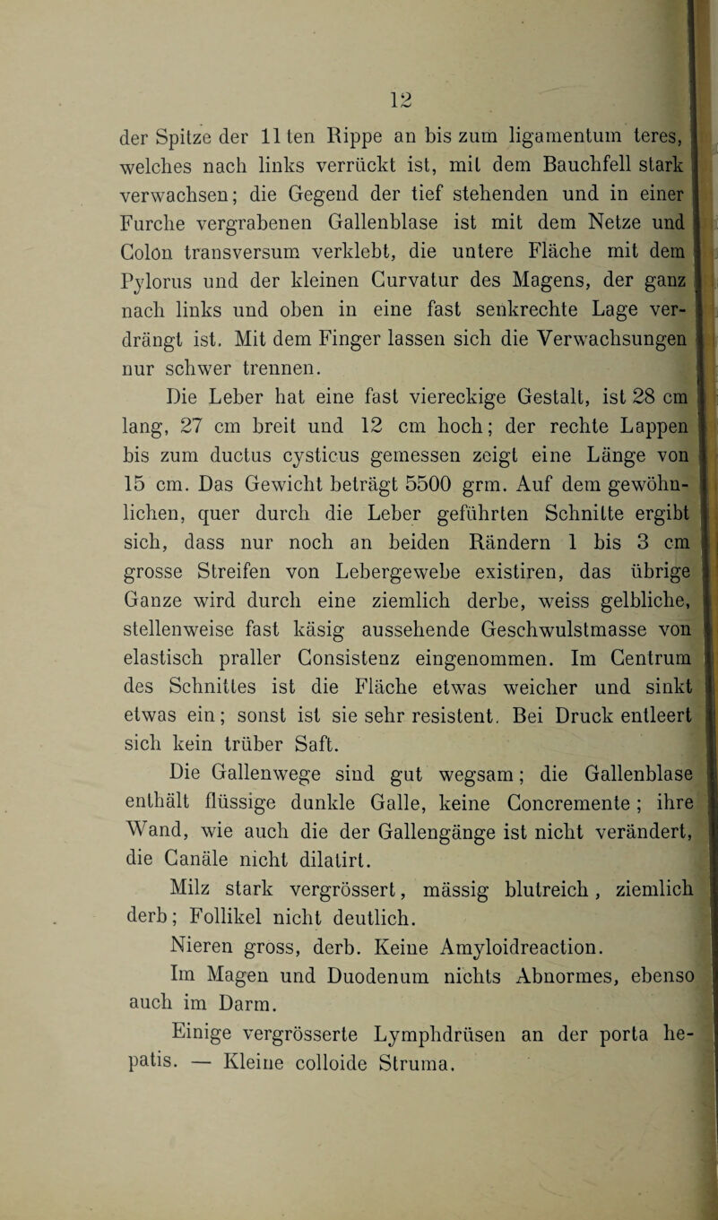 der Spitze der Ilten Rippe an bis zum ligamentum teres, welches nach links verrückt ist, mit dem Bauchfell stark verwachsen; die Gegend der tief stehenden und in einer Furche vergrabenen Gallenblase ist mit dem Netze und Colon transversum verklebt, die untere Fläche mit dem Pylorus und der kleinen Curvatur des Magens, der ganz nach links und oben in eine fast senkrechte Lage ver¬ drängt ist. Mit dem Finger lassen sich die Verwachsungen nur schwer trennen. Die Leber hat eine fast viereckige Gestalt, ist 28 cm lang, 27 cm breit und 12 cm hoch; der rechte Lappen bis zum ductus cysticus gemessen zeigt eine Länge von 15 cm. Das Gewicht beträgt 5500 grm. Auf dem gewöhn¬ lichen, quer durch die Leber geführten Schnitte ergibt j sich, dass nur noch an beiden Rändern 1 bis 3 cm grosse Streifen von Lebergewebe existiren, das übrige Ganze wird durch eine ziemlich derbe, weiss gelbliche, stellenweise fast käsig aussehende Geschwulstmasse von elastisch praller Consistenz eingenommen. Im Centrum des Schnittes ist die Fläche etwas weicher und sinkt etwas ein; sonst ist sie sehr resistent, Bei Druck entleert sich kein trüber Saft. Die Gallenwege sind gut wegsam; die Gallenblase enthält flüssige dunkle Galle, keine Concremente; ihre Wand, wie auch die der Gallengänge ist nicht verändert, die Canäle nicht dilatirt. Milz stark vergrössert, mässig blutreich, ziemlich derb; Follikel nicht deutlich. Nieren gross, derb. Keine Amyloidreaction. Im Magen und Duodenum nichts Abnormes, ebenso auch im Darm. Einige vergrösserte Lymphdrüsen an der porta he- patis. — Kleine colloide Struma. __