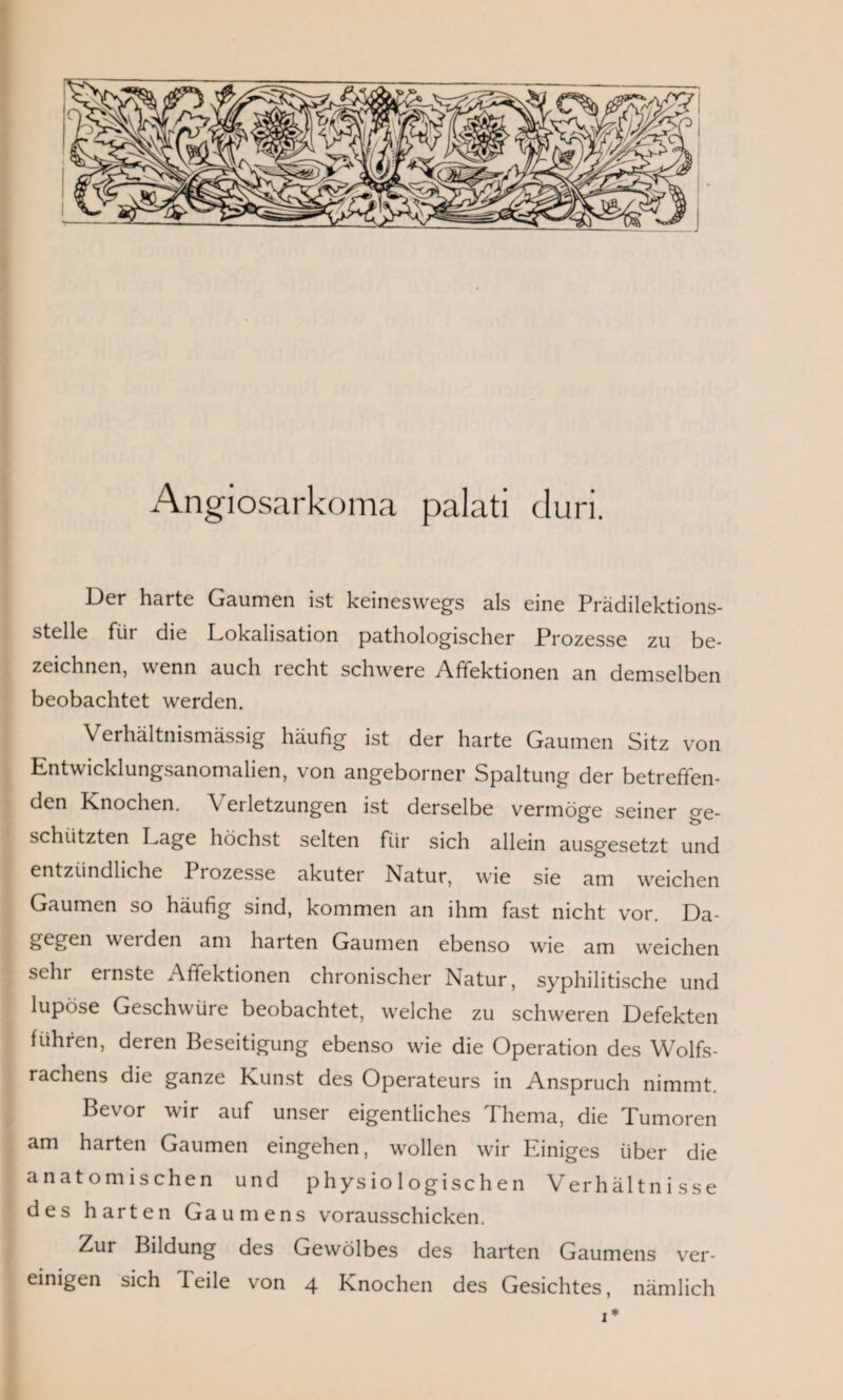 Angiosarkoma palati duri. Der harte Gaumen ist keineswegs als eine Prädilektions¬ stelle fiii die Lokalisation pathologischer Prozesse zu be¬ zeichnen, wenn auch recht schwere Afifektionen an demselben beobachtet werden. Verhältnismässig häufig ist der harte Gaumen Sitz von Entwicklungsanomalien, von angeborner Spaltung der betreffen¬ den Knochen. Verletzungen ist derselbe vermöge seiner ge¬ schützten Lage höchst selten für sich allein ausgesetzt und entzündliche Piozesse akuter Natur, wie sie am weichen Gaumen so häufig sind, kommen an ihm fast nicht vor. Da- gegen weiden am harten Gaumen ebenso wie am weichen sehr ernste Affektionen chronischer Natur, syphilitische und lupöse Geschwüre beobachtet, welche zu schweren Defekten führen, deren Beseitigung ebenso wie die Operation des Wolfs¬ rachens die ganze Kunst des Operateurs in Anspruch nimmt. Bevor wir auf unser eigentliches Thema, die Tumoren am harten Gaumen eingehen, wollen wir Einiges über die anatomischen und physiologischen Verhältnisse des harten Gaumens vorausschicken. Zur Bildung des Gewölbes des harten Gaumens ver¬