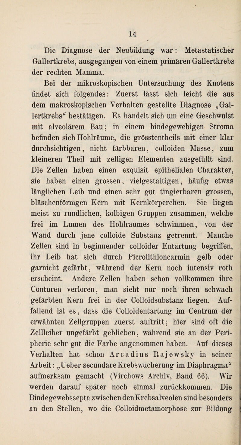 Die Diagnose der Neubildung war: Metastatischer Gallertkrebs, ausgegangen von einem primären Gallertkrebs der rechten Mamma. Bei der mikroskopischen Untersuchung des Knotens findet sich folgendes: Zuerst lässt sich leicht die aus dem makroskopischen Verhalten gestellte Diagnose „ Gal¬ lertkrebs bestätigen. Es handelt sich um eine Geschwulst mit alveolärem Bau; in einem bindegewebigen Stroma befinden sich Hohlräume, die grösstentheils mit einer klar durchsichtigen, nicht färbbaren, colloiden Masse, zum kleineren Theil mit zelligen Elementen ausgefüllt sind. Die Zellen haben einen exquisit epithelialen Charakter, sie haben einen grossen, vielgestaltigen, häufig etwas länglichen Leib und einen sehr gut tingierbaren grossen, bläschenförmgen Kern mit Kernkörperchen. Sie liegen meist zu rundlichen, kolbigen Gruppen zusammen, welche frei im Lumen des Hohlraumes schwimmen, von der Wand durch jene colloide Substanz getrennt. Manche Zellen sind in beginnender colloider Entartung begriffen, ihr Leib hat sich durch Picrolithioncarmin gelb oder garnicht gefärbt, während der Kern noch intensiv roth erscheint. Andere Zellen haben schon vollkommen ihre Conturen verloren, man sieht nur noch ihren schwach gefärbten Kern frei in der Colloidsubstanz liegen. Auf¬ fallend ist es, dass die Colloidentartung im Centrum der erwähnten Zellgruppen zuerst auftritt; hier sind oft die Zellleiber ungefärbt geblieben, während sie an der Peri¬ pherie sehr gut die Farbe angenommen haben. Auf dieses Verhalten hat schon Arcadius Rajewsky in seiner Arbeit: „Ueber secundäreKrebswucherung im Diaphragma“ aufmerksam gemacht (Virchows Archiv, Band 66). Wir werden darauf später noch einmal zurückkommen. Die Bindegewebssepta zwischen den Krebsalveolen sind besonders an den Stellen, wo die Colloidmetamorphose zur Bildung