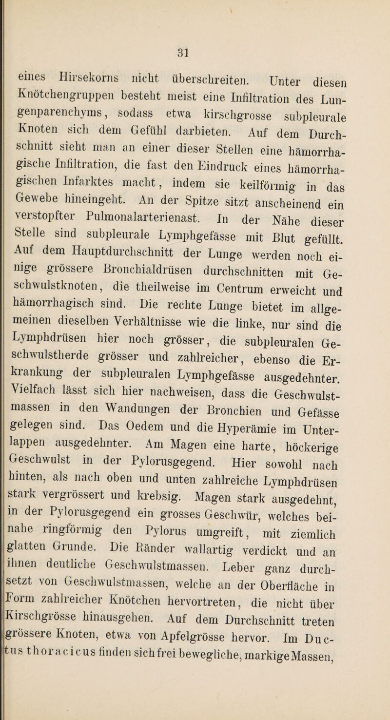 eines Hirsekorns nicht überschreiten. Unter diesen Knötchengruppen besteht meist eine Infiltration des Lun¬ genparenchyms, sodass etwa kirschgrosse subpleurale Knoten sich dem Gefühl darbieten. Auf dem Durch¬ schnitt sieht man an einer dieser Stellen eine hämorrha¬ gische Infiltration, die fast den Eindruck eines hämorrha¬ gischen Infarktes macht, indem sie keilförmig in das Gewebe hineingeht. An der Spitze sitzt anscheinend ein verstopfter Pulmonalarterienast. In der Nähe dieser Stelle sind subpleurale Lymphgefässe mit Blut gefüllt. Auf dem Hauptdurchschnitt der Lunge werden noch ei¬ nige grössere Bronchialdrüsen durchschnitten mit Ge¬ schwulstknoten, die theilweise im Centrum erweicht und hämorrhagisch sind. Die rechte Lunge bietet im allge¬ meinen dieselben Verhältnisse wie die linke, nur sind die Lymphdrüsen hier noch grösser, die subpleuralen Ge¬ schwulstherde grösser und zahlreicher, ebenso die Er¬ krankung der subpleuralen Lymphgefässe ausgedehnter. Vielfach lässt sich hier nachweisen, dass die Geschwulst¬ massen in den Wandungen der Bronchien und Gefässe gelegen sind. Das Oedem und die Hyperämie im Unter¬ lappen ausgedehnter. Am Magen eine harte, höckerige Geschwulst in der Pylorusgegend. Hier sowohl nach hinten, als nach oben und unten zahlreiche Lymphdrüsen stark vergrössert und krebsig. Magen stark ausgedehnt, m der Pylorusgegend ein grosses Geschwür, welches bei¬ nahe ringförmig den Pylorus umgreift, mit ziemlich glatten Grunde. Die Bänder wallartig' verdickt und an ■ihnen deutliche Geschwulstmassen. Leber ganz durch¬ setzt von Geschwulstmassen, welche an der Oberfläche in Form zahlreicher Knötchen hervortreten, die nicht über Kirschgrösse hinausgehen. Auf dem Durchschnitt treten grössere Knoten, etwa von Apfelgrösse hervor. Im Duc¬ tus thoracicus finden sichfrei bewegliche, markige Massen,