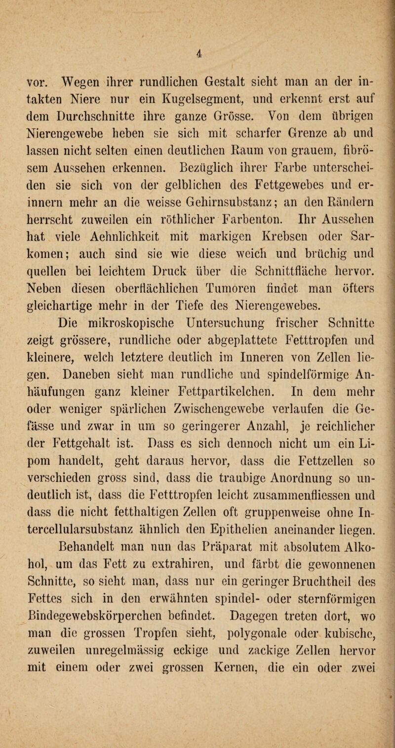 vor. Wegen ihrer rundlichen Gestalt sieht man an der in¬ takten Niere nur ein Kugelsegment, und erkennt erst auf dem Durchschnitte ihre ganze Grösse. Von dem übrigen Nierengewebe heben sie sich mit scharfer Grenze ab und lassen nicht selten einen deutlichen Raum von grauem, fibrö¬ sem Aussehen erkennen. Bezüglich ihrer Farbe unterschei¬ den sie sich von der gelblichen des Fettgewebes und er¬ innern mehr an die weisse Gehirnsubstanz; an den Rändern herrscht zuweilen ein röthlicher Farbenton. Ihr Aussehen hat viele Aehnlichkeit mit markigen Krebsen oder Sar¬ komen; auch sind sie wie diese weich und brüchig und quellen bei leichtem Druck über die Schnittfläche hervor. Neben diesen oberflächlichen Tumoren findet man öfters gleichartige mehr in der Tiefe des Nierengewebes. Die mikroskopische Untersuchung frischer Schnitte zeigt grössere, rundliche oder abgeplattete Fetttropfen und kleinere, welch letztere deutlich im Inneren von Zellen lie¬ gen. Daneben sieht man rundliche und spindelförmige An¬ häufungen ganz kleiner Fettpartikelchen. In dem mehr oder weniger spärlichen Zwischengewebe verlaufen die Ge- fässe und zwar in um so geringerer Anzahl, je reichlicher der Fettgehalt ist. Dass es sich dennoch nicht um ein Li¬ pom handelt, geht daraus hervor, dass die Fettzellen so verschieden gross sind, dass die traubige Anordnung so un¬ deutlich ist, dass die Fetttropfen leicht zusammenfliessen und dass die nicht fetthaltigen Zellen oft gruppenweise ohne In¬ tercellularsubstanz ähnlich den Epithelien aneinander liegen. Behandelt man nun das Präparat mit absolutem Alko¬ hol, um das Fett zu extrahiren, und färbt die gewonnenen Schnitte, so sieht man, dass nur ein geringer Bruchtheil des Fettes sich in den erwähnten spindel- oder sternförmigen Bindegewebskörperchen befindet. Dagegen treten dort, wo man die grossen Tropfen sieht, polygonale oder kubische, zuweilen unregelmässig eckige und zackige Zellen hervor mit einem oder zwei grossen Kernen, die ein oder zwei