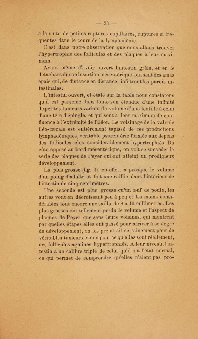 à la suite de petites ruptures capillaires, ruptures si fré¬ quentes dans le cours de la lymphadénie. C’est dans notre observation que nous allons trouver l’hypertrophie des follicules et des plaques à leur maxi¬ mum. Avant même d’avoir ouvert l’intestin grêle, et en le détachant de son insertion mésentérique, ont sent des amas épais qui, de distance en distance, infiltrent les parois in¬ testinales. L’intestin ouvert, et étalé sur la table nous constatons qu’il est parsemé dans toute son étendue d’une infinité de petites tumeurs variant du volume d’une lentille à celui d’une tête d’épingle, et qui sont à leur maximum de con¬ fluence à l'extrémité de l’iléon. Le voisinage de la valvule iléo-cæcale est entièrement tapissé de ces productions lymphadéniques, véritable psorentérie formée aux dépens des follicules clos considérablement hypertrophiés. Du côté opposé au bord mésentérique, on voit se succéder la série des plaques de Peyer qui ont atteint un prodigieux développement. La plus grosse (fig. 1), en effet, a presque le volume d’un poing d’adulte et fait une saillie dans l’intérieur de l’intestin de cinq centimètres. Une seconde est plus grosse qu’un œuf de poule, les autres vont en décroissant peu à peu et les moins consi¬ dérables font encore une saillie de 8 à 10 millimètres. Les plus grosses ont tellement perdu le volume et l’aspect de plaques de Peyer que sans leurs voisines, qui montrent par quelles étapes elles ont passé pour arriver à ce degré de développement, on les prendrait certainement pour de véritables tumeurs et non pour ce qu’elles sont réellement, des follicules agminés hypertrophiés. A leur niveau,l’in¬ testin a un calibre triple de celui qu’il a à l’état normal, ce qui permet de comprendre qu’elles n’aient pas pro- /