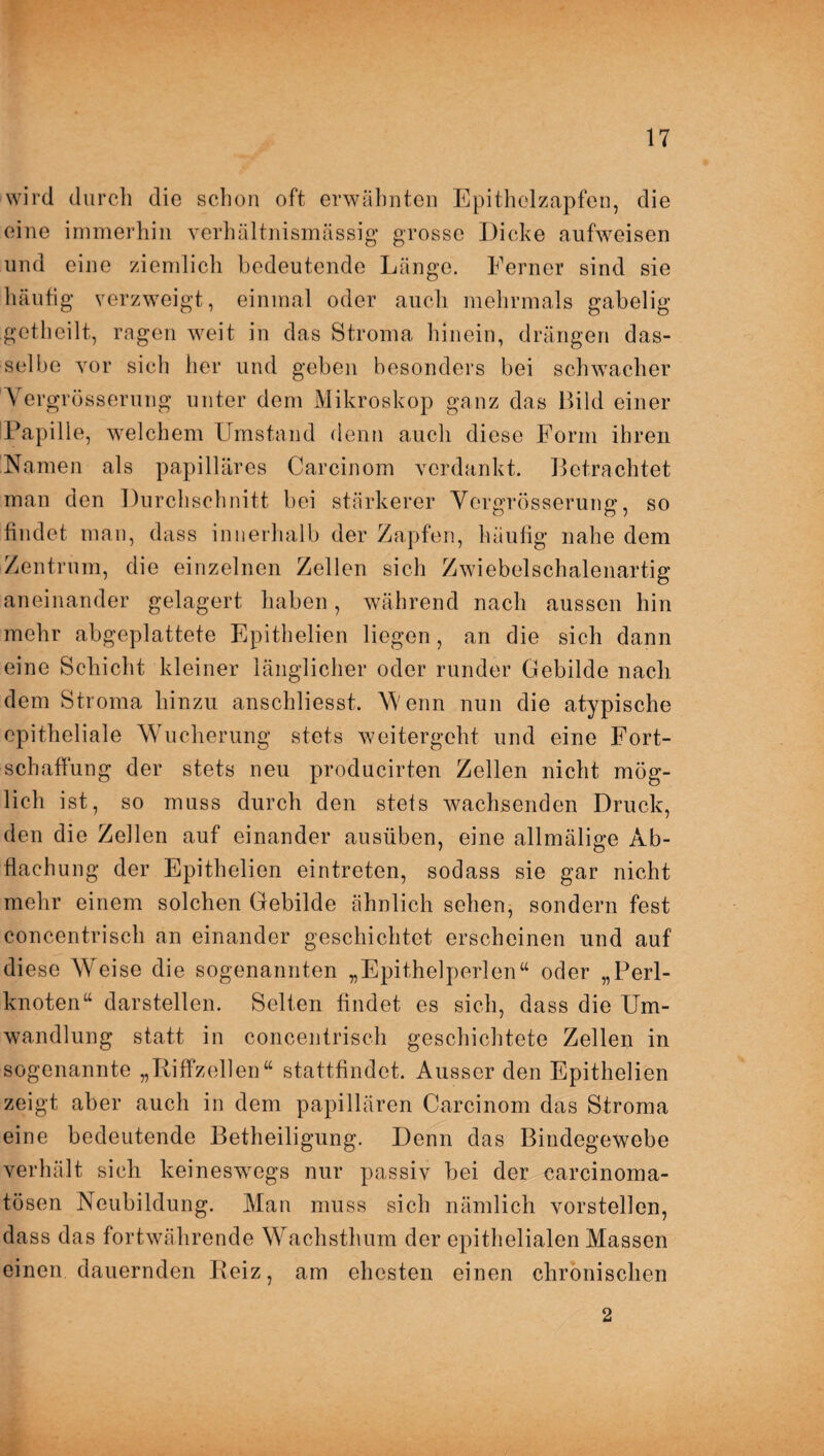 wird durch die schon oft erwähnten Epithelzapfen, die eine immerhin verhältnismässig grosse Dicke aufweisen und eine ziemlich bedeutende Länge. Ferner sind sie häufig verzweigt, einmal oder auch mehrmals gabelig gctheilt, ragen weit in das Stroma hinein, drängen das¬ selbe vor sich her und geben besonders bei schwacher Yergrösserung unter dem Mikroskop ganz das Bild einer Papille, welchem Umstand denn auch diese Form ihren Namen als papilläres Carcinom verdankt. Betrachtet man den Durchschnitt bei stärkerer Yergrösserung, so findet man, dass innerhalb der Zapfen, häufig nahe dem Zentrum, die einzelnen Zellen sich Zwiebelschalenartig aneinander gelagert haben, während nach aussen hin mehr abgeplattete Epithelien liegen, an die sich dann eine Schicht kleiner länglicher oder runder Gebilde nach dem Stroma hinzu anschliesst. Wenn nun die atypische epitheliale Wucherung stets weitergeht und eine Fort¬ schaffung der stets neu producirten Zellen nicht mög¬ lich ist, so muss durch den stets wachsenden Druck, den die Zellen auf einander ausüben, eine allmälige Ab¬ flachung der Epithelien eintreten, sodass sie gar nicht mehr einem solchen Gebilde ähnlich sehen, sondern fest concentrisch an einander geschichtet erscheinen und auf diese Weise die sogenannten „Epithelperlen“ oder „Perl¬ knoten“ darstellen. Selten findet es sich, dass die Um¬ wandlung statt in concentrisch geschichtete Zellen in sogenannte „Riffzellen“ stattfindet. Ausser den Epithelien zeigt aber auch in dem papillären Carcinom das Stroma eine bedeutende Betheiligung. Denn das Bindegewebe verhält sich keineswegs nur passiv bei der carcinoma- tösen Neubildung. Man muss sich nämlich vorstellen, dass das fortwährende Wachsthum der epithelialen Massen einen dauernden Reiz, am ehesten einen chronischen 2