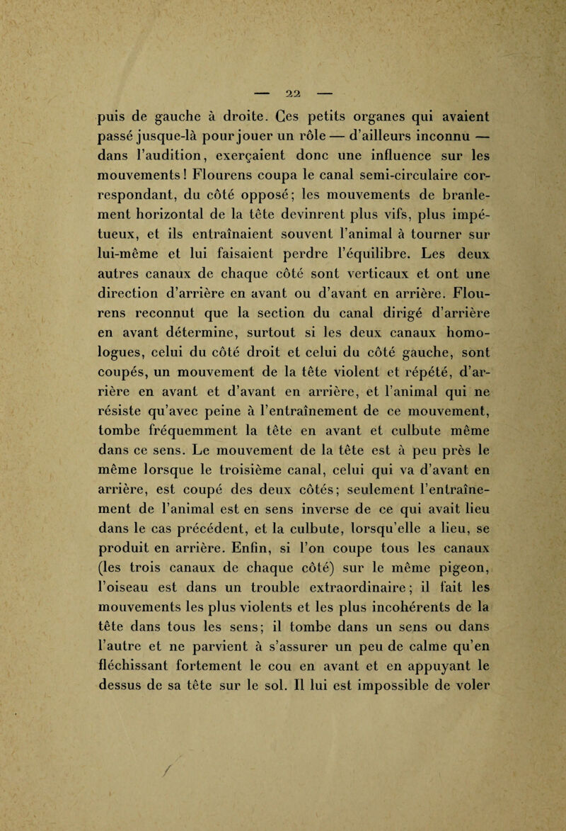 puis de gauche à droite. Ces petits organes qui avaient passé jusque-là pour jouer un rôle— d’ailleurs inconnu — dans l’audition, exerçaient donc une influence sur les mouvements! Flourens coupa le canal semi-circulaire cor¬ respondant, du côté opposé; les mouvements de branle¬ ment horizontal de la tête devinrent plus vifs, plus impé¬ tueux, et ils entraînaient souvent l’animal à tourner sur lui-même et lui faisaient perdre l’équilibre. Les deux autres canaux de chaque côté sont verticaux et ont une direction d’arrière en avant ou d’avant en arrière. Flou¬ rens reconnut que la section du canal dirigé d’arrière en avant détermine, surtout si les deux canaux homo¬ logues, celui du côté droit et celui du côté gauche, sont coupés, un mouvement de la tête violent et répété, d’ar¬ rière en avant et d’avant en arrière, et l’animal qui ne résiste qu’avec peine à l’entraînement de ce mouvement, tombe fréquemment la tête en avant et culbute même dans ce sens. Le mouvement de la tête est à peu près le même lorsque le troisième canal, celui qui va d’avant en arrière, est coupé des deux côtés; seulement l’entraîne¬ ment de l’animal est en sens inverse de ce qui avait lieu dans le cas précédent, et la culbute, lorsqu’elle a lieu, se produit en arrière. Enfin, si l’on coupe tous les canaux (les trois canaux de chaque côté) sur le même pigeon, l’oiseau est dans un trouble extraordinaire ; il fait les mouvements les plus violents et les plus incohérents de la tête dans tous les sens; il tombe dans un sens ou dans l’autre et ne parvient à s’assurer un peu de calme qu’en fléchissant fortement le cou en avant et en appuyant le dessus de sa tête sur le sol. Il lui est impossible de voler /