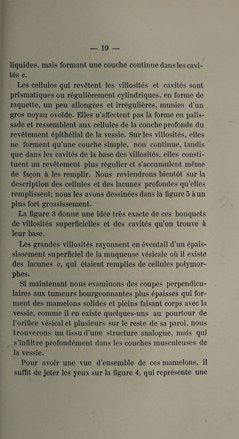 liquides, mais formant une couche continue dans les cavi¬ tes c. Les cellules qui revetent les villosites et cavites sont prismatiques ou reguli^rement cylindriques, en forme de raquette, un peu allongees et irregulibres, munies d’un gros noyau ovoide. Elies n’affectent pas la forme en palis- sade et ressemblent aux cellules de la couche profonde du revetement epithelial de la vessie. Sur les villosites, elles ne forment qu’une couche simple, non continue, tandis que dans les cavites de la base des villosites, elles consti¬ tuent un revetement plus regulier et s’accumulent meme de faQon a les remplir. Nous reviendrons bientot sur la description des cellules et des lacunes profondes qu’elles remplissent; nous les avons dessinees dans la figure 5 aun plus fort grossissement. La figure 3 donne une idee trbs exacte de ces bouquets de villosites superficielles et des cavites qu’on trouve h leur base. Les grandes villosites rayonnent en eventail d’un epais- sissement superficiel de la muqueuse vesicale oil il existe des lacunes c, qui etaient remplies de cellules polymor- phes. Si maintenant nous examinons des coupes perpendicu- laires aux tumeurs bourgeonnantes plus epaisses qui for¬ ment des mamelons solides et pleins faisant corps avec la vessie, comme il en existe quelques-uns au pourtour de l’orifice vesical et plusieurs sur le reste de sa paroi, nous trouverons un tissu d’une structure analogue, mais qui s’infiltre profondement dans les couches musculeuses de la vessie. Pour avoir une vue d’ensemble de ces mamelons, il suffit de jeter les yeux sur la figure 4, qui represente une