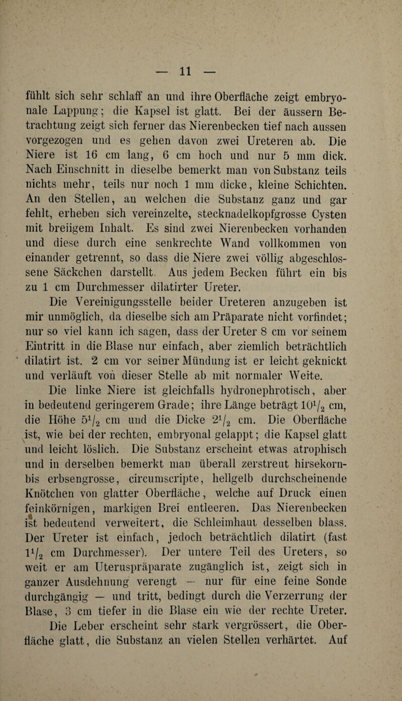 fühlt sich sehr schlaff an und ihre Oberfläche zeigt embryo- nale Lappung; die Kapsel ist glatt. Bei der äussern Be¬ trachtung zeigt sich ferner das Nierenbecken tief nach aussen vorgezogen und es gehen davon zwei Ureteren ab. Die Niere ist 16 cm lang, 6 cm hoch und nur 5 mm dick. Nach Einschnitt in dieselbe bemerkt man von Substanz teils nichts mehr, teils nur noch 1 mm dicke, kleine Schichten. An den Stellen, an welchen die Substanz ganz und gar fehlt, erheben sich vereinzelte, stecknadelkopfgrosse Cysten mit breiigem Inhalt. Es sind zwei Nierenbecken vorhanden und diese durch eine senkrechte Wand vollkommen von einander getrennt, so dass die Niere zwei völlig abgeschlos¬ sene Säckchen darstellt, Aus jedem Becken führt ein bis zu 1 cm Durchmesser dilatirter Ureter. Die Vereinigungsstelle beider Ureteren anzngeben ist mir unmöglich, da dieselbe sich am Präparate nicht vorfindet; nur so viel kann ich sagen, dass der Ureter 8 cm vor seinem Eintritt in die Blase nur einfach, aber ziemlich beträchtlich dilatirt ist. 2 cm vor seiner Mündung ist er leicht geknickt und verläuft von dieser Stelle ab mit normaler Weite. Die linke Niere ist gleichfalls hydronephrotisch, aber in bedeutend geringerem Grade; ihre Länge beträgt lü1^ cm, die Höhe ö1/2 cm und die Dicke 21/2 cm. Die Oberfläche ist, wie bei der rechten, embryonal gelappt; die Kapsel glatt und leicht löslich. Die Substanz erscheint etwas atrophisch und in derselben bemerkt man überall zerstreut hirsekorn- bis erbsengrosse, circumscripte, hellgelb durchscheinende Knötchen von glatter Oberfläche, welche auf Druck einen feinkörnigen, markigen Brei entleeren. Das Nierenbecken ist bedeutend verweitert, die Schleimhaut desselben blass. Der Ureter ist einfach, jedoch beträchtlich dilatirt (fast U/2 cm Durchmesser). Der untere Teil des Ureters, so weit er am Uteruspräparate zugänglich ist, zeigt sich in ganzer Ausdehnung verengt — nur für eine feine Sonde durchgängig — und tritt, bedingt durch die Verzerrung der Blase, 3 cm tiefer in die Blase ein wie der rechte Ureter. Die Leber erscheint sehr stark vergrössert, die Ober¬ fläche glatt, die Substanz an vielen Stellen verhärtet. Auf