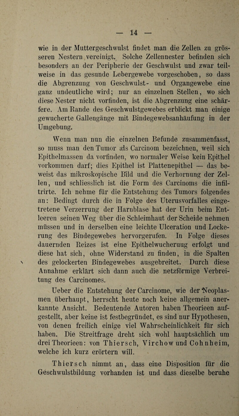 wie in der Muttergeschwulst findet man die Zellen zu grös¬ seren Nestern vereinigt. Solche Zellennester befinden sich besonders an der Peripherie der Geschwulst und zwar teil¬ weise in das gesunde Lebergewebe vorgeschoben, so dass die Abgrenzung von Geschwulst- und Organgewebe eine ganz undeutliche wird; nur an einzelnen Stellen, wo sich diese Nester nicht vorfinden, ist die Abgrenzung eine schär¬ fere. Am Rande des Geschwulstgewebes erblickt man einige gewucherte Gallengänge mit Bindegewebsanhäufung in der Umgebung. Wenn man nun die einzelnen Befunde zusammenfasst, so muss man den Tumor als Carcinom bezeichnen, weil sich Epithelmassen da vorfinden, wo normaler Weise kein Epithel Vorkommen darf; dies Epithel ist Plattenepithel — das be¬ weist das mikroskopische Bild und die Verhornung der Zel¬ len, und schliesslich ist die Form des Carcinoms die infil- trirte. Ich nehme für die Entstehung des Tumors folgendes an: Bedingt durch die in Folge des Uterusvorfalles einge¬ tretene Verzerrung der Harnblase hat der Urin beim Ent¬ leeren seinen Weg über die Schleimhaut der Scheide nehmen müssen und in derselben eine leichte Ulceration und Locke¬ rung des Bindegewebes hervorgerufen. In Folge dieses dauernden Reizes ist eine Epithelwucheruug erfolgt und diese hat sich, ohne Widerstand zu finden, in die Spalten ' des gelockerten Bindegewebes ausgebreitet. Durch diese Annahme erklärt sich dann auch die netzförmige Verbrei¬ tung des Carcinomes. Ueber die Entstehung der Carcinome, wie der ’Neoplas- men überhaupt, herrscht heute noch keine allgemein aner¬ kannte Ansicht. Bedeutende Autoren haben Theorieen auf¬ gestellt, aber keine ist festbegründet, es sind nur Hypothesen, von denen freilich einige viel Wahrscheinlichkeit für sich haben. Die Streitfrage dreht sich wohl hauptsächlich um drei Theorieen: von Thier sch, Virchow und Coh nheim, welche ich kurz erörtern will. Thier sch nimmt an, dass eine Disposition für die Geschwulstbildung vorhanden ist und dass dieselbe beruhe