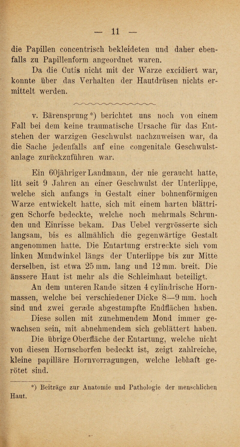 die Papillen concentrisch bekleideten und daher eben¬ falls zu Papillenform angeordnet waren. Da die Cutis nicht mit der Warze excidiert war, konnte über das Verhalten der Hautdrüsen nichts er¬ mittelt werden. v. Bärensprung*) berichtet uns noch von einem Fall bei dem keine traumatische Ursache für das Ent¬ stehen der warzigen Geschwulst nachzuweisen war, da die Sache jedenfalls auf eine congenitale Geschwulst¬ anlage zurückzuführen war. Ein ßOjähriger Landmann, der nie geraucht hatte, litt seit 9 Jahren an einer Geschwulst der Unterlippe, welche sich anfangs in Gestalt einer bohnenförmigen Warze entwickelt hatte, sich mit einem harten blättri¬ gen Schorfe bedeckte, welche noch mehrmals Schrun¬ den und Einrisse bekam. Das Uebel vergrösserte sich langsam, bis es allmählich die gegenwärtige Gestalt angenommen hatte. Die Entartung erstreckte sich vom linken Mundwinkel längs der Unterlippe bis zur Mitte derselben, ist etwa 25 mm. lang und 12 mm. breit. Die änssere Haut ist mehr als die Schleimhaut beteiligt. An dem unteren Bande sitzen 4 cylindrische Horn¬ massen, welche bei verschiedener Dicke 8—9 mm. hoch sind und zwei gerade abgestumpfte Endflächen haben. Diese sollen mit zunehmendem Mond immer ge¬ wachsen sein, mit abnehmendem sich geblättert haben. Die übrige Oberfläche der Entartung, welche nicht von diesen Hornschorfen bedeckt ist, zeigt zahlreiche, kleine papilläre Hornvorragungen, welche lebhaft ge¬ rötet sind. *) Beiträge zur Anatomie und Pathologie der menschlichen