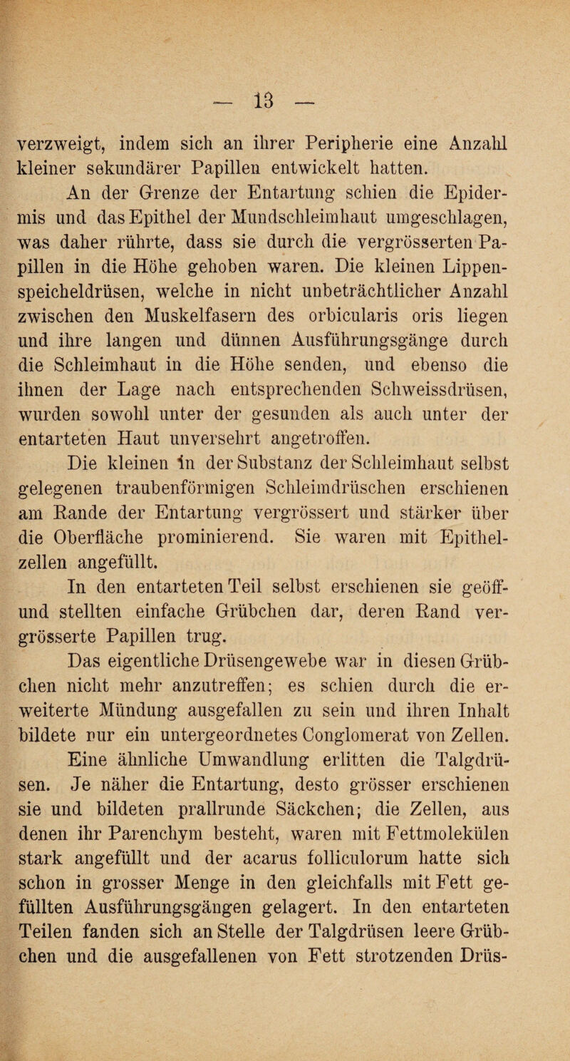 verzweigt, indem sich an ihrer Peripherie eine Anzahl kleiner sekundärer Papillen entwickelt hatten. An der Grenze der Entartung schien die Epider¬ mis und das Epithel der Mundschleimhaut umgeschlagen, was daher rührte, dass sie durch die vergrösserten Pa¬ pillen in die Höhe gehoben waren. Die kleinen Lippen¬ speicheldrüsen, welche in nicht unbeträchtlicher Anzahl zwischen den Muskelfasern des orbicularis oris liegen und ihre langen und dünnen Ausführungsgänge durch die Schleimhaut in die Höhe senden, und ebenso die ihnen der Lage nach entsprechenden Schweissdrüsen, wurden sowohl unter der gesunden als auch unter der entarteten Haut unversehrt angetroffen. Die kleinen in der Substanz der Schleimhaut selbst gelegenen traubenförmigen Schleimdrüschen erschienen am Lande der Entartung vergrössert und stärker über die Oberfläche prominierend. Sie waren mit Epithel¬ zellen angefüllt. In den entarteten Teil selbst erschienen sie geöff- und stellten einfache Grübchen dar, deren Land ver- grösserte Papillen trug. Das eigentliche Drüsengewebe war in diesen Grüb¬ chen nicht mehr anzutreffen; es schien durch die er¬ weiterte Mündung ausgefallen zu sein und ihren Inhalt bildete nur ein untergeordnetes Conglomerat von Zellen. Eine ähnliche Umwandlung erlitten die Talgdrü¬ sen. Je näher die Entartung, desto grösser erschienen sie und bildeten prallrunde Säckchen; die Zellen, aus denen ihr Parenchym besteht, waren mit Fettmolekülen stark angefüllt und der acarus folliculorum hatte sich schon in grosser Menge in den gleichfalls mit Fett ge¬ füllten Ausführungsgängen gelagert. In den entarteten Teilen fanden sich an Stelle der Talgdrüsen leere Grüb¬ chen und die ausgefallenen von Fett strotzenden Drüs-