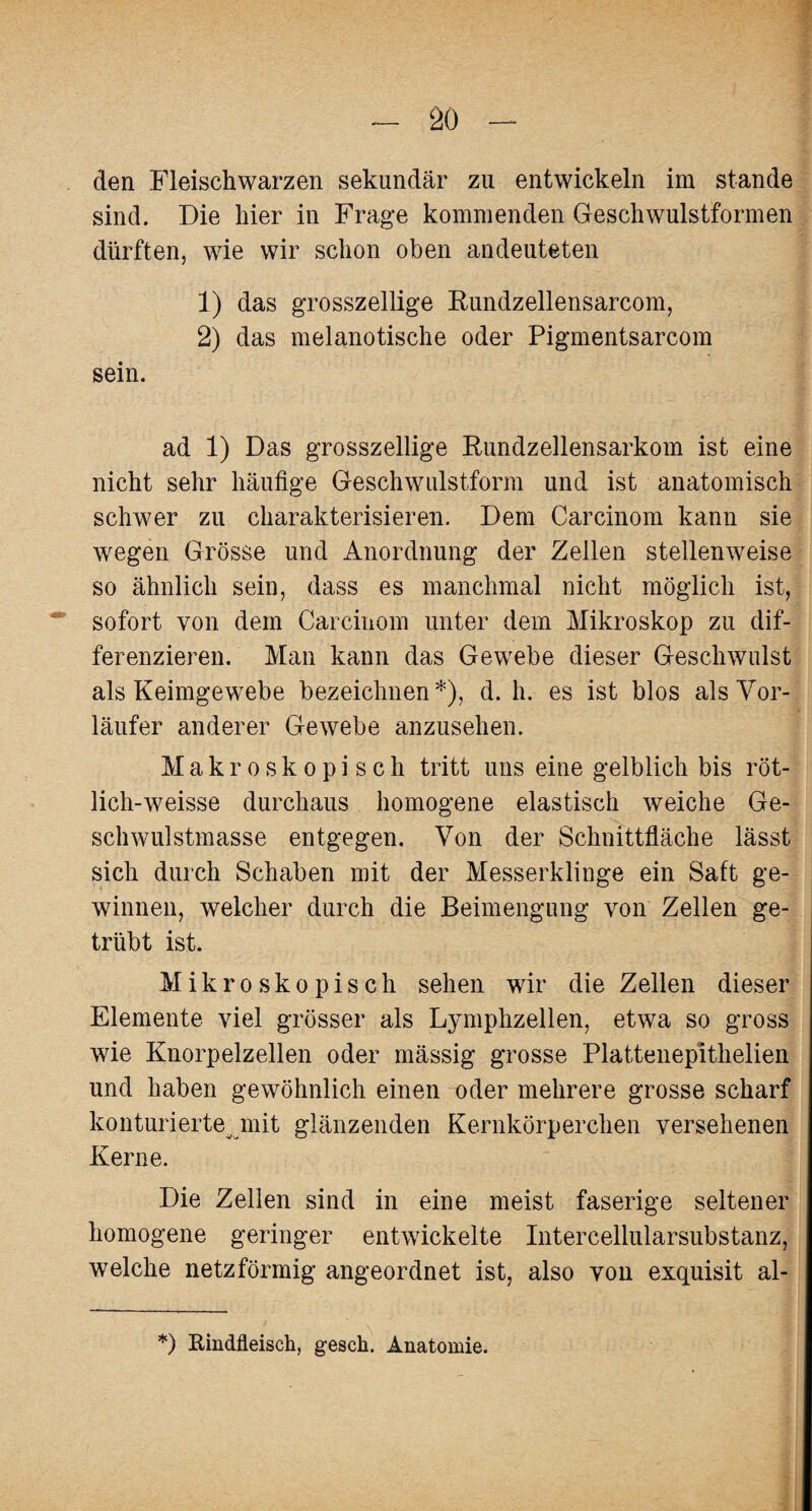 den Fleischwarzen sekundär zu entwickeln im stände sind. Die hier in Frage kommenden Geschwulstformen dürften, wie wir schon oben andeuteten 1) das grosszeilige Kundzellensarcom, 2) das melanotische oder Pigmentsarcom sein. ad 1) Das grosszeilige Bundzellensarkom ist eine nicht sehr häufige Geschwulstform und ist anatomisch schwer zu charakterisieren. Dem Carcinom kann sie wegen Grösse und Anordnung der Zellen stellenweise so ähnlich sein, dass es manchmal nicht möglich ist, sofort von dem Carcinom unter dem Mikroskop zu dif¬ ferenzieren. Man kann das Gewebe dieser Geschwulst als Keimgewebe bezeichnen*), d. h. es ist blos als Vor¬ läufer anderer Gewebe anzusehen. Makroskopisch tritt uns eine gelblich bis röt- lich-weisse durchaus homogene elastisch weiche Ge¬ schwulstmasse entgegen. Von der Schnittfläche lässt sich durch Schaben mit der Messerklinge ein Saft ge¬ winnen, welcher durch die Beimengung von Zellen ge¬ trübt ist. Mikroskopisch sehen wir die Zellen dieser Elemente viel grösser als Lymphzellen, etwa so gross wie Knorpelzellen oder rnässig grosse Plattenepithelien und haben gewöhnlich einen oder mehrere grosse scharf konturierte^ mit glänzenden Kernkörperchen versehenen Kerne. Die Zellen sind in eine meist faserige seltener homogene geringer entwickelte Intercellularsubstanz, welche netzförmig angeordnet ist, also von exquisit al- *) Rindfleisch, gesch. Anatomie.