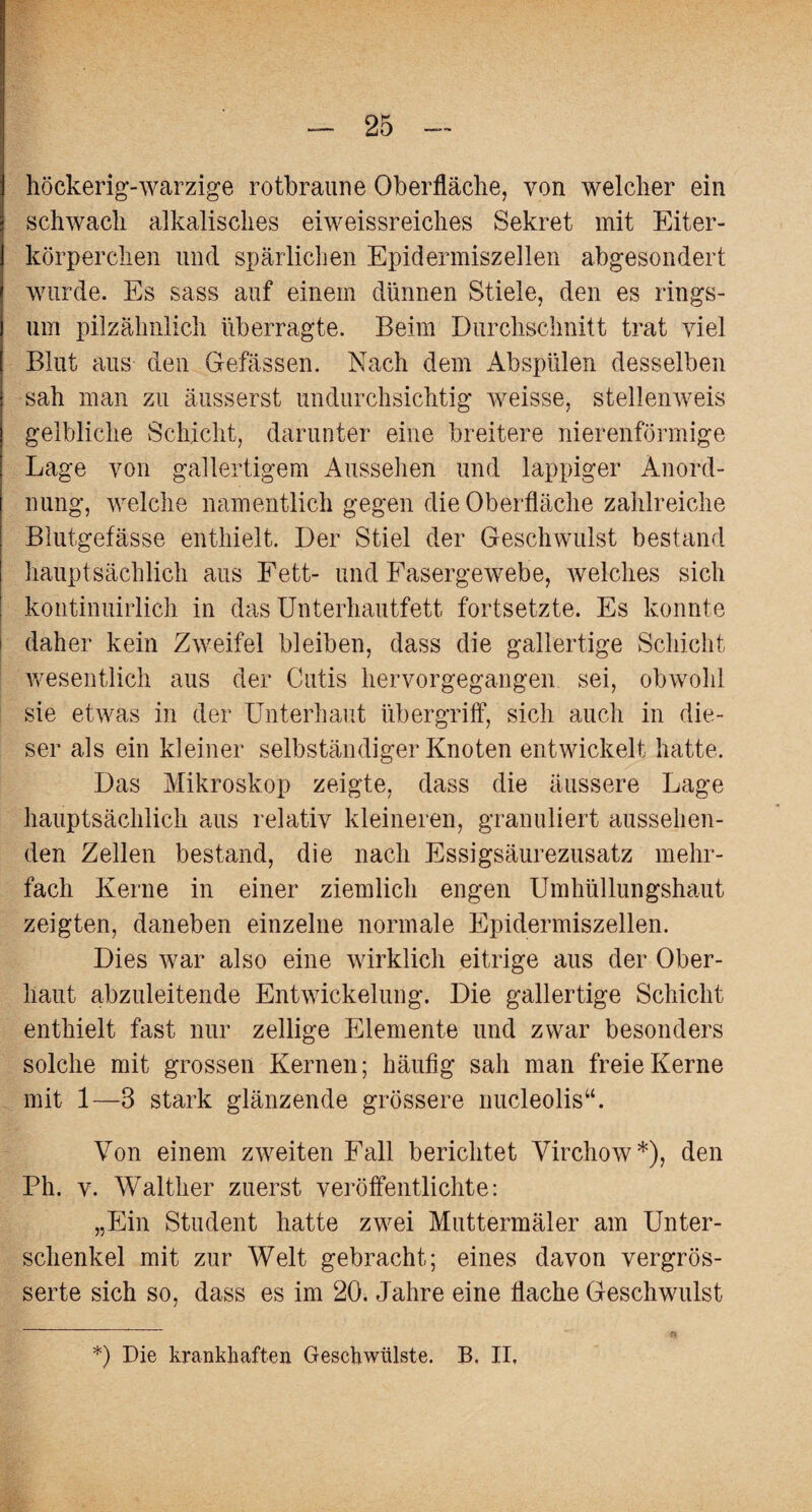 höckerig-warzige rotbraune Oberfläche, von welcher ein schwach alkalisches eiweissreiches Sekret mit Eiter¬ körperchen und spärlichen Epidermiszellen abgesondert wurde. Es sass auf einem dünnen Stiele, den es rings¬ um pilzälmlich überragte. Beim Durchschnitt trat viel Blut aus den Gefässen. Nach dem Abspülen desselben sah man zu äusserst undurchsichtig weisse, stellenweis gelbliche Schicht, darunter eine breitere nierenförmige Lage von gallertigem Aussehen und lappiger Anord¬ nung, welche namentlich gegen die Oberfläche zahlreiche Blutgefässe enthielt. Der Stiel der Geschwulst bestand hauptsächlich aus Fett- und Fasergewebe, welches sich kontinuirlich in das Unterhautfett fortsetzte. Es konnte daher kein Zweifel bleiben, dass die gallertige Schicht wesentlich aus der Cutis hervorgegangen sei, obwohl sie etwas in der Unterhaut Übergriff, sich auch in die¬ ser als ein kleiner selbständiger Knoten entwickelt hatte. Das Mikroskop zeigte, dass die äussere Lage hauptsächlich aus relativ kleineren, granuliert aussehen¬ den Zellen bestand, die nach Essigsäurezusatz mehr¬ fach Kerne in einer ziemlich engen Umhüllungshaut zeigten, daneben einzelne normale Epidermiszellen. Dies war also eine wirklich eitrige aus der Ober¬ haut abzuleitende Entwickelung. Die gallertige Schicht enthielt fast nur zellige Elemente und zwar besonders solche mit grossen Kernen; häufig sah man freie Kerne mit 1—3 stark glänzende grössere nucleolis“. Von einem zweiten Fall berichtet Virchow*), den Ph. v. Walther zuerst veröffentlichte: „Ein Student hatte zwei Muttermäler am Unter¬ schenkel mit zur Welt gebracht; eines davon vergrös- serte sich so, dass es im 20. Jahre eine flache Geschwulst