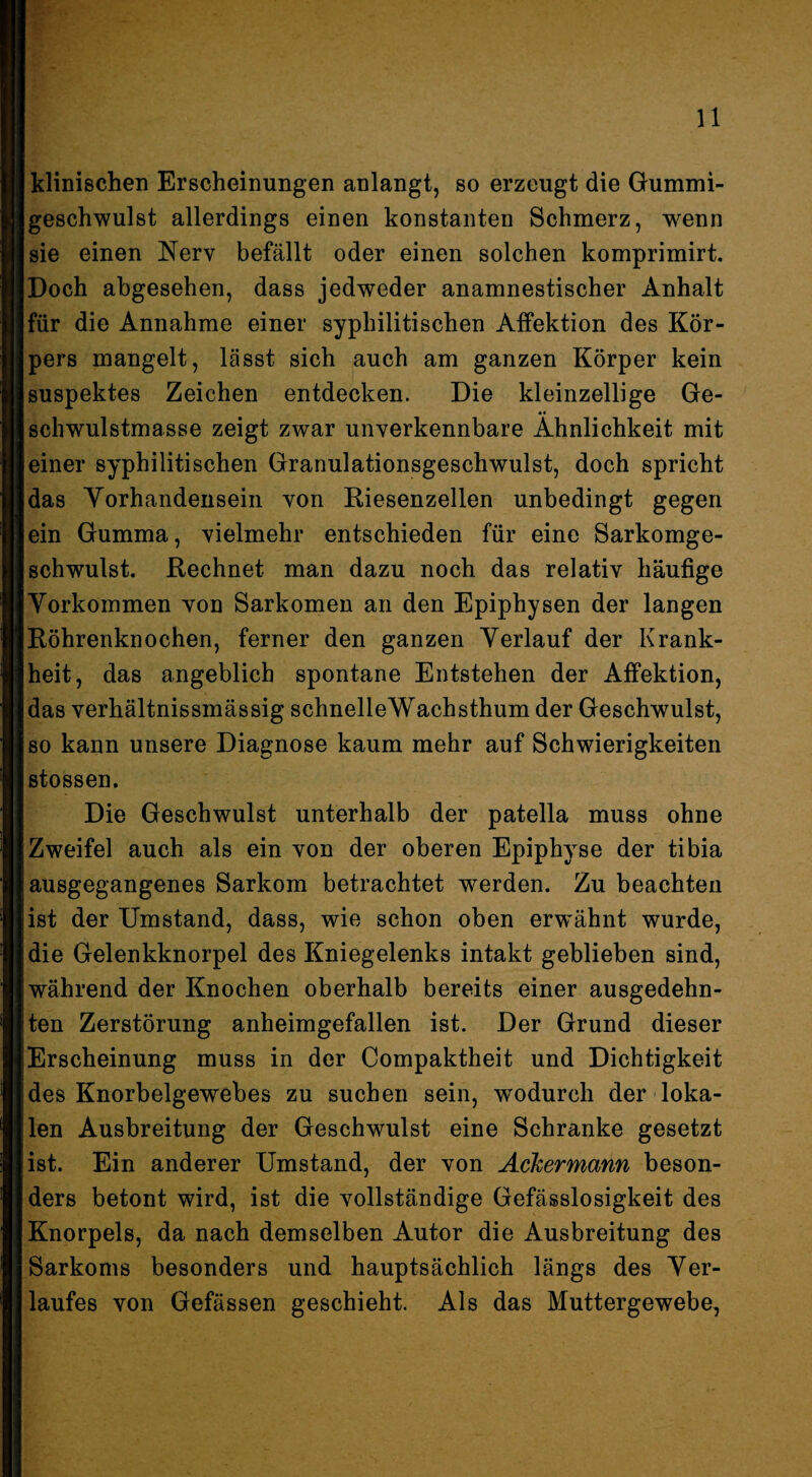 klinischen Erscheinungen anlangt, so erzeugt die Gummi¬ geschwulst allerdings einen konstanten Schmerz, wenn sie einen Nerv befällt oder einen solchen komprimirt. Doch abgesehen, dass jedweder anamnestischer Anhalt für die Annahme einer syphilitischen Atfektion des Kör¬ pers mangelt, lässt sich auch am ganzen Körper kein suspektes Zeichen entdecken. Die kleinzellige Ge¬ schwulstmasse zeigt zwar unverkennbare Ähnlichkeit mit einer syphilitischen Granulationsgeschwulst, doch spricht das Yorhandenseiii von Riesenzellen unbedingt gegen ein Gumma, vielmehr entschieden für eine Sarkomge¬ schwulst. Rechnet man dazu noch das relativ häufige Vorkommen von Sarkomen an den Epiphysen der langen Röhrenknochen, ferner den ganzen Verlauf der Krank¬ heit, das angeblich spontane Entstehen der Affektion, das verhältnissmässig schnelleWachsthum der Geschwulst, so kann unsere Diagnose kaum mehr auf Schwierigkeiten stossen. Die Geschwulst unterhalb der patella muss ohne Zweifel auch als ein von der oberen Epiphyse der tibia ausgegangenes Sarkom betrachtet werden. Zu beachten ist der Umstand, dass, wie schon oben erwähnt wurde, die Gelenkknorpel des Kniegelenks intakt geblieben sind, während der Knochen oberhalb bereits einer ausgedehn¬ ten Zerstörung anheimgefallen ist. Der Grund dieser Erscheinung muss in der Compaktheit und Dichtigkeit des Knorbelgewebes zu suchen sein, wodurch der loka¬ len Ausbreitung der Geschwulst eine Schranke gesetzt ist. Ein anderer Umstand, der von Aclcermann beson¬ ders betont wird, ist die vollständige Gefässlosigkeit des Knorpels, da nach demselben Autor die Ausbreitung des Sarkoms besonders und hauptsächlich längs des Ver¬ laufes von Gefässen geschieht. Als das Muttergewebe,