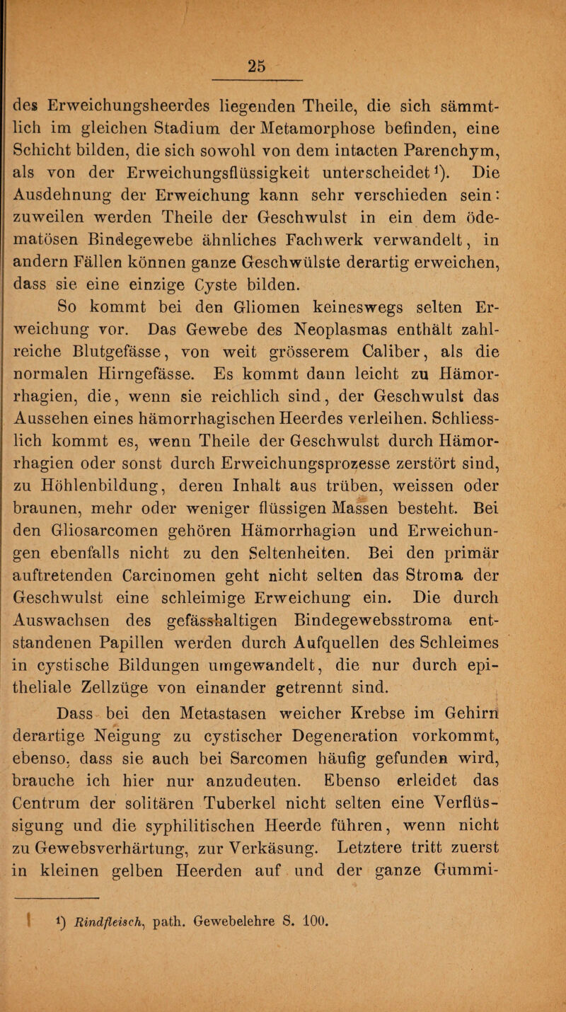 des Erweichungsheerdes liegenden Theile, die sich sämmt- licli im gleichen Stadium der Metamorphose befinden, eine Schicht bilden, die sich sowohl von dem intacten Parenchym, als von der Erweichungsflüssigkeit unterscheidetj). Die Ausdehnung der Erweichung kann sehr verschieden sein: zuweilen werden Theile der Geschwulst in ein dem öde- matösen Bindegewebe ähnliches Fachwerk verwandelt, in andern Fällen können ganze Geschwülste derartig erweichen, dass sie eine einzige Cyste bilden. So kommt bei den Gliomen keineswegs selten Er¬ weichung vor. Das Gewebe des Neoplasmas enthält zahl¬ reiche Blutgefässe, von weit grösserem Caliber, als die normalen Hirngefässe. Es kommt daun leicht zu Hämor- rhagien, die, wenn sie reichlich sind, der Geschwulst das Aussehen eines hämorrhagischen Heerdes verleihen. Schliess¬ lich kommt es, wenn Theile der Geschwulst durch Hämor- rhagien oder sonst durch Erweichungsprozesse zerstört sind, zu Höhlenbildung, deren Inhalt aus trüben, weissen oder braunen, mehr oder weniger flüssigen Massen besteht. Bei den Gliosarcomen gehören Hämorrhagian und Erweichun¬ gen ebenfalls nicht zu den Seltenheiten. Bei den primär auftretenden Carcinomen geht nicht selten das Stroma der Geschwulst eine schleimige Erweichung ein. Die durch Auswachsen des gefässhaltigen Bindegewebsstroma ent¬ standenen Papillen werden durch Aufquellen des Schleimes in cystische Bildungen umgewandelt, die nur durch epi¬ theliale Zellzüge von einander getrennt sind. Dass bei den Metastasen weicher Krebse im Gehirn derartige Neigung zu cystischer Degeneration vorkommt, ebenso, dass sie auch bei Sarcomen häufig gefunden wird, brauche ich hier nur anzudeuten. Ebenso erleidet das Centrum der solitären Tuberkel nicht selten eine Verflüs¬ sigung und die syphilitischen Heerde führen, wenn nicht zu Gewebsverhärtung, zur Verkäsung. Letztere tritt zuerst in kleinen gelben Heerden auf und der ganze Gummi- i) Rindfleisch, path. Gewebelehre S. 100.