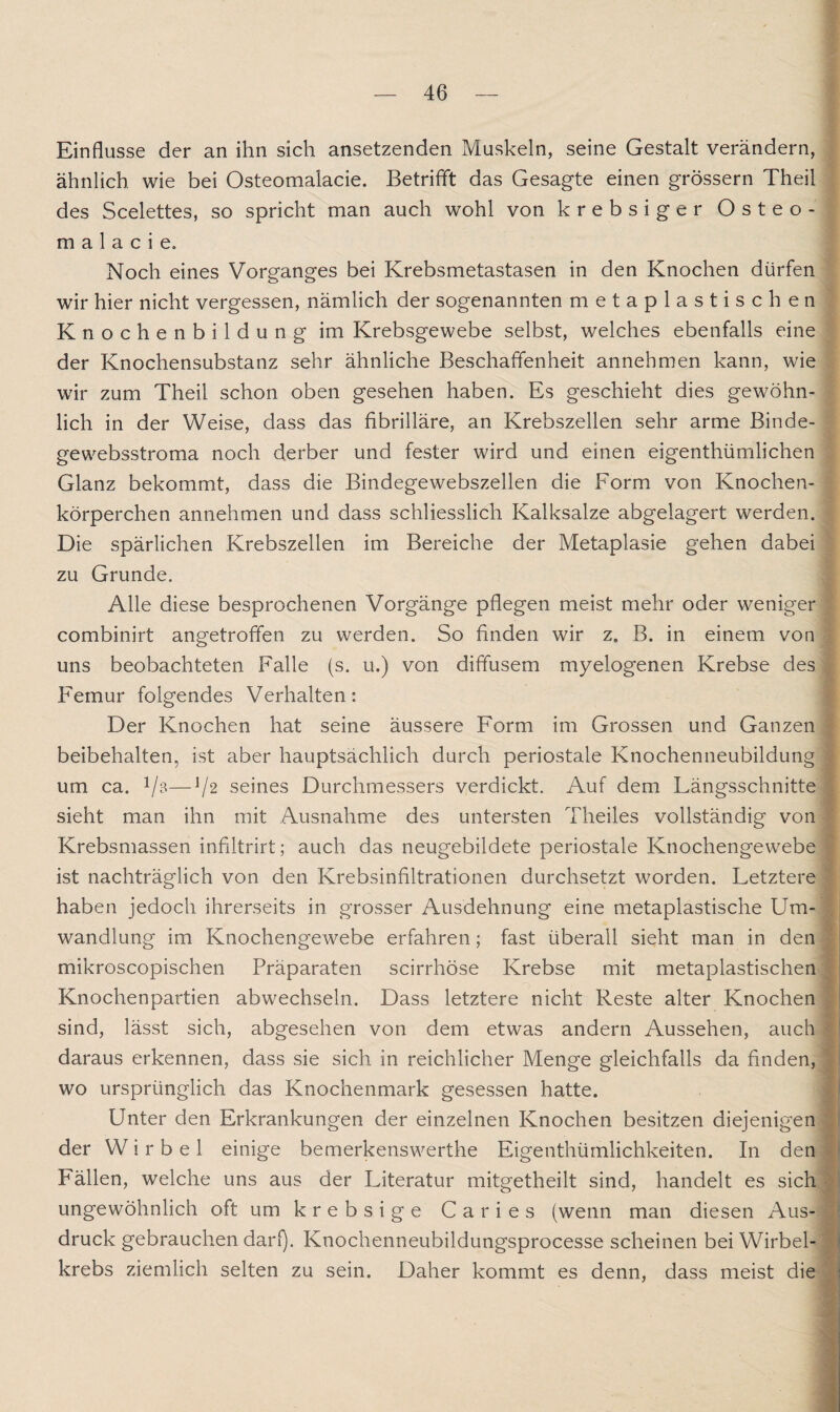 Einflüsse der an ihn sich ansetzenden Muskeln, seine Gestalt verändern, ähnlich, wie bei Osteomalacie. Betrifft das Gesagte einen grossem Theil des Scelettes, so spricht man auch wohl von krebsiger Osteo¬ ma 1 a c i e» Noch eines Vorganges bei Krebsmetastasen in den Knochen dürfen wir hier nicht vergessen, nämlich der sogenannten metaplastischen Knochenbildung im Krebsgewebe selbst, welches ebenfalls eine der Knochensubstanz sehr ähnliche Beschaffenheit annehmen kann, wie wir zum Theil schon oben gesehen haben. Es geschieht dies gewöhn¬ lich in der Weise, dass das fibrilläre, an Krebszellen sehr arme Binde- gewebsstroma noch derber und fester wird und einen eigenthümlichen Glanz bekommt, dass die Bindegewebszellen die Form von Knochen¬ körperchen annehmen und dass schliesslich Kalksalze abgelagert werden. Die spärlichen Krebszellen im Bereiche der Metaplasie gehen dabei zu Grunde. Alle diese besprochenen Vorgänge pflegen meist mehr oder weniger combinirt angetrofifen zu werden. So finden wir z. B. in einem von uns beobachteten Falle (s. u.) von diffusem myelogenen Krebse des Femur folgendes Verhalten: Der Knochen hat seine äussere Form im Grossen und Ganzen beibehalten, ist aber hauptsächlich durch periostale Knochenneubildung ! um ca. V3—V2 seines Durchmessers verdickt. Auf dem Längsschnitte sieht man ihn mit Ausnahme des untersten Theiles vollständig von Krebsmassen infiltrirt; auch das neugebildete periostale Knochengewebe ist nachträglich von den Krebsinfiltrationen durchsetzt worden. Letztere haben jedoch ihrerseits in grosser Ausdehnung eine metaplastische Um¬ wandlung im Knochengewebe erfahren; fast überall sieht man in den mikroscopischen Präparaten scirrhöse Krebse mit metaplastischen Knochenpartien abwechseln. Dass letztere nicht Reste alter Knochen sind, lässt sich, abgesehen von dem etwas andern Aussehen, auch daraus erkennen, dass sie sich in reichlicher Menge gleichfalls da finden, wo ursprünglich das Knochenmark gesessen hatte. Unter den Erkrankungen der einzelnen Knochen besitzen diejenigen der Wirbel einige bemerkenswerthe Eigenthümlichkeiten. In den Fällen, welche uns aus der Literatur mitgetheilt sind, handelt es sich ungewöhnlich oft um krebsige Car i es (wenn man diesen Aus¬ druck gebrauchen darf). Knochenneubildungsprocesse scheinen bei Wirbel¬ krebs ziemlich selten zu sein. Daher kommt es denn, dass meist die