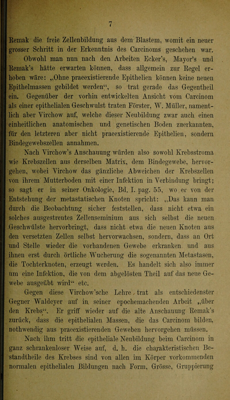 Remak die freie Zellenbildung aus dem Blastem, womit ein neuer grosser Schritt in der Erkenntnis des Carcinoms geschehen war. Obwohl man nun nach den Arbeiten Ecker’s, Mayor’s und Remak’s hätte erwarten können, dass allgemein zur Regel er¬ hoben wäre: „Ohne praeexistierende Epithelien können keine neuen Epithelmassen gebildet werden“, so trat gerade das Gegentheil ein. Gegenüber der vorhin entwickelten Ansicht vom Carcinom als einer epithelialen Geschwulst traten Förster, W. Müller, nament¬ lich aber Yirchow auf, welche dieser Neubildung zwar auch einen einheitlichen anatomischen und genetischen Boden zuerkannten, für den letzteren aber nicht praeexistierende Epithelien, sondern Bindegewebszellen annahmen. Nach Virchow’s Anschauung würden also sowohl Krebsstroma wie Krebszellen aus derselben Matrix, dem Bindegewebe, hervor¬ gehen, wobei Yirchow das gänzliche Abweichen der Krebszellen von ihrem Mutterboden mit einer Infektion in Verbindung bringt; so sagt er in seiner Onkologie, Bd. I. pag. 55, wo er von der Entstehung der metastatischen Knoten spricht: „Das kann man durch die Beobachtung sicher feststellen, dass nicht etwa ein solches ausgestreutes Zellenseminium aus sich selbst die neuen ,Geschwülste hervorbringt, dass nicht etwa die neuen Knoten aus den versetzten Zellen selbst hervorwachsen, sondern, dass an Ort und Stelle wieder die vorhandenen Gewebe erkranken und aus ihnen erst durch örtliche Wucherung die sogenannten Metastasen, die Tochterknoten, erzeugt werden. Es handelt sich also immer um eine Infektion, die von dem abgelösten Theil auf das neue Ge¬ webe ausgeübt wird“ etc. Gegen diese Yirchow’sche Lehre ✓ trat als entschiedenster Gegner Waldeyer auf in seiner epochemachenden Arbeit „über den Krebs“. Er griff wieder auf die alte Anschauung Remak’s zurück, dass die epithelialen Massen, die das Carcinom bilden, nothwendig aus praeexistierenden Geweben hervorgehen müssen. Nach ihm tritt die epitheliale Neubildung beim Carcinom in ganz schrankenloser Weise auf, d. h. die charakteristischen Be- standtheile des Krebses sind von allen im Körper vorkommenden normalen epithelialen Bildungen nach Form, Grösse, Gruppierung