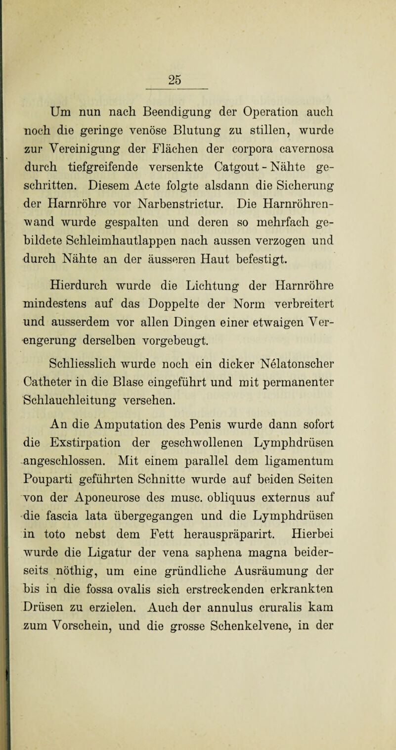 __25_ Um nun nach Beendigung der Operation auch noch die geringe venöse Blutung zu stillen, wurde zur Vereinigung der Flächen der corpora cavernosa durch tiefgreifende versenkte Catgout - Nähte ge¬ schritten. Diesem Acte folgte alsdann die Sicherung der Harnröhre vor Narbenstrictur. Die Harnröhren¬ wand wurde gespalten und deren so mehrfach ge¬ bildete Schleimhautlappen nach aussen verzogen und durch Nähte an der äusseren Haut befestigt. Hierdurch wurde die Lichtung der Harnröhre mindestens auf das Doppelte der Norm verbreitert und ausserdem vor allen Dingen einer etwaigen Ver¬ engerung derselben vorgebeugt. Schliesslich wurde noch ein dicker Nelatonscher Catheter in die Blase eingeführt und mit permanenter Schlauchleitung versehen. An die Amputation des Penis wurde dann sofort die Exstirpation der geschwollenen Lymphdrüsen angeschlossen. Mit einem parallel dem ligamentum Pouparti geführten Schnitte wurde auf beiden Seiten von der Aponeurose des musc. obliquus externus auf die fascia lata übergegangen und die Lymphdrüsen in toto nebst dem Fett herauspräparirt. Hierbei wurde die Ligatur der vena saphena magna beider¬ seits nöthig, um eine gründliche Ausräumung der bis in die fossa ovalis sich erstreckenden erkrankten Drüsen zu erzielen. Auch der annulus cruralis kam zum Vorschein, und die grosse Schenkelvene, in der