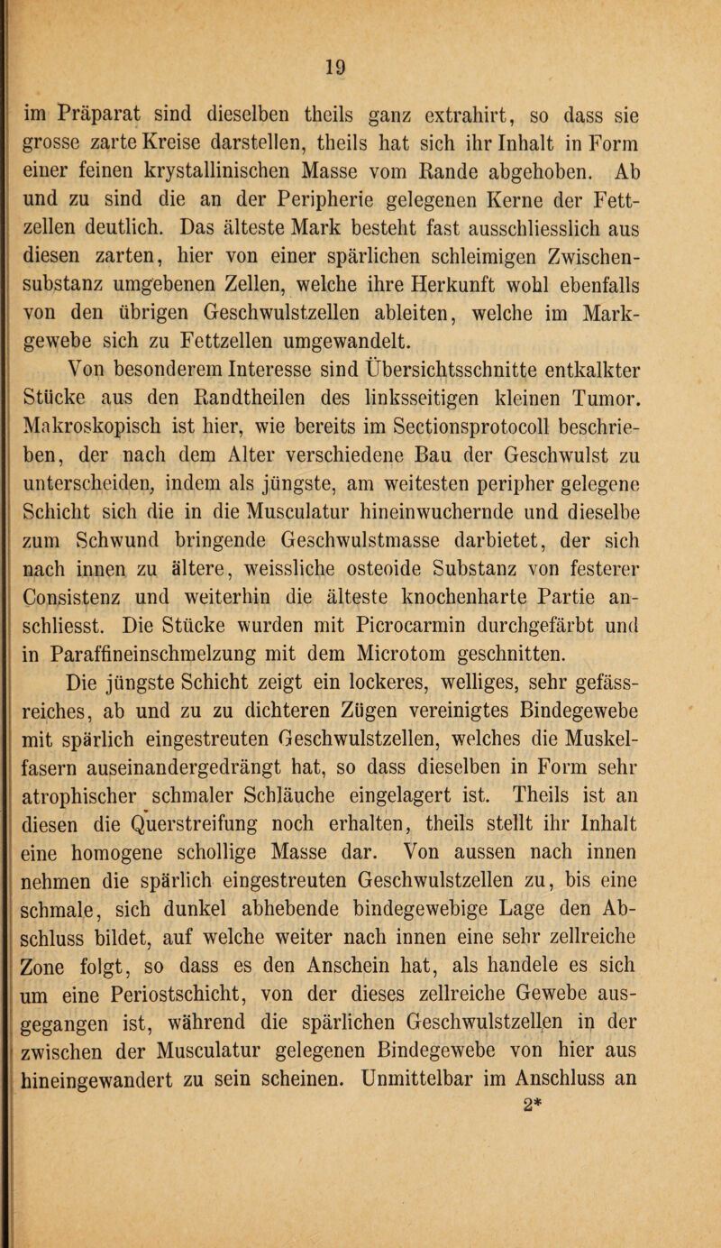 im Präparat sind dieselben theils ganz extrahirt, so dass sie grosse zarte Kreise darstellen, theils hat sich ihr Inhalt in Form einer feinen krystallinischen Masse vom Rande abgehoben. Ab und zu sind die an der Peripherie gelegenen Kerne der Fett¬ zellen deutlich. Das älteste Mark besteht fast ausschliesslich aus diesen zarten, hier von einer spärlichen schleimigen Zwischen¬ substanz umgebenen Zellen, welche ihre Herkunft wohl ebenfalls von den übrigen Geschwulstzellen ableiten, welche im Mark¬ gewebe sich zu Fettzellen umgewandelt. Von besonderem Interesse sind Übersichtsschnitte entkalkter Stücke aus den Randtheilen des linksseitigen kleinen Tumor. Makroskopisch ist hier, wie bereits im Sectionsprotoeoll beschrie¬ ben, der nach dem Alter verschiedene Bau der Geschwulst zu unterscheiden, indem als jüngste, am weitesten peripher gelegene Schicht sich die in die Musculatur hineinwuchernde und dieselbe zum Schwund bringende Geschwulstmasse darbietet, der sich nach innen zu ältere, weissliche osteoide Substanz von festerer Consistenz und weiterhin die älteste knochenharte Partie an- ■ schliesst. Die Stücke wurden mit Picrocarmin durchgefärbt und in Paraffineinschmelzung mit dem Microtom geschnitten. Die jüngste Schicht zeigt ein lockeres, welliges, sehr gefäss- reiches, ab und zu zu dichteren Zügen vereinigtes Bindegewebe mit spärlich eingestreuten Geschwulstzellen, welches die Muskel- fasern auseinandergedrängt hat, so dass dieselben in Form sehr atrophischer schmaler Schläuche eingelagert ist. Theils ist an diesen die Querstreifung noch erhalten, theils stellt ihr Inhalt eine homogene schollige Masse dar. Von aussen nach innen nehmen die spärlich eingestreuten Geschwulstzellen zu, bis eine schmale, sich dunkel abhebende bindegewebige Lage den Ab¬ schluss bildet, auf welche weiter nach innen eine sehr zellreiche Zone folgt, so dass es den Anschein hat, als handele es sich um eine Periostschicht, von der dieses zellreiche Gewebe aus¬ gegangen ist, während die spärlichen Geschwulstzellen in der zwischen der Musculatur gelegenen Bindegewebe von hier aus hineingewandert zu sein scheinen. Unmittelbar im Anschluss an : 2*