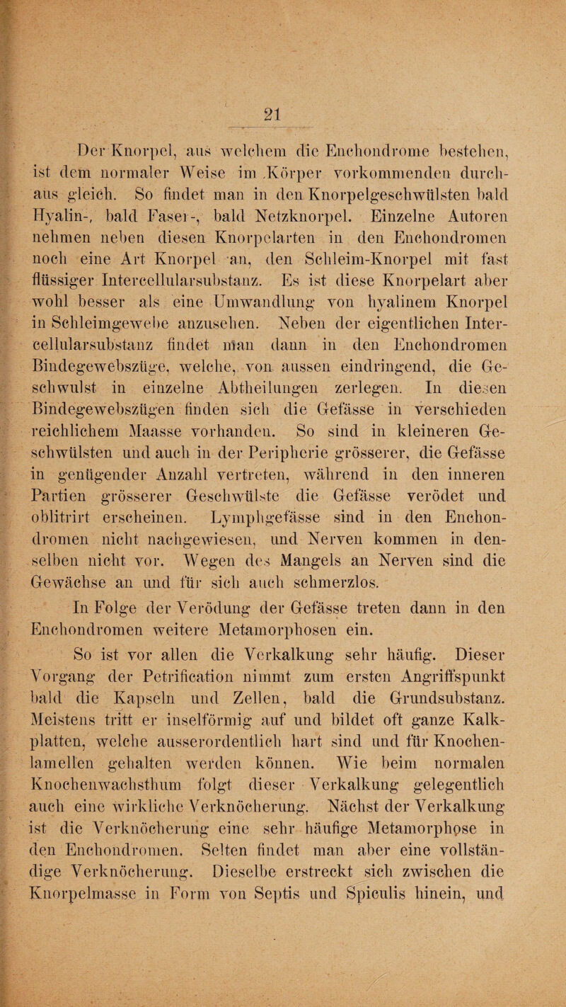 Der Knorpel, aus welchem die Enohondrome bestehen, ist dem normaler Weise im .Körper vorkommenden durch¬ aus gleich. So findet man in den Knorpelgeschwülsten bald Hyalin-, bald Faser-, bald Netzknorpel. Einzelne Autoren nehmen neben diesen Knorpelarten in den Enchondromen noch eine Art Knorpel -an, den Schleim-Knorpel mit fast flüssiger Intercellularsubstanz. Es ist diese Knorpelart aber wohl besser als eine Umwandlung von hyalinem Knorpel in Schleimgewebe anzusehen. Neben der eigentlichen Inter¬ cellularsubstanz findet man dann in den Enchondromen Bindegewebszüge, welche, von aussen eindringend, die Ge¬ schwulst in einzelne Abtheilungen zerlegen. In diesen Bindegewebszügen finden sich die Gefässe in verschieden reichlichem Maasse vorhanden. So sind in kleineren Ge¬ schwülsten und auch in der Peripherie grösserer, die Gefässe in genügender Anzahl vertreten, während in den inneren Partien grösserer Geschwülste die Gefässe verödet und oblitrirt erscheinen. Lymphgefässe sind in den Enchon¬ dromen nicht nachgewiesen, und Nerven kommen in den¬ selben nicht vor. Wegen des Mangels an Nerven sind die Gewächse an und für sich auch schmerzlos. In Folge der Verödung der Gefässe treten dann in den Enchondromen weitere Metamorphosen ein. So ist vor allen die Verkalkung sehr häufig. Dieser Vorgang der Petrification nimmt zum ersten Angriffspunkt bald die Kapseln und Zellen, bald die Grundsubstanz. Meistens tritt er inselförmig auf und bildet oft ganze Kalk¬ platten, welche ausserordentlich hart sind und für Knochen- laineilen gehalten werden können. Wie beim normalen Knochenwachsthum folgt dieser Verkalkung gelegentlich auch eine wirkliche Verknöcherung. Nächst der Verkalkung ist die Verknöcherung eine sehr häufige Metamorphose in den Enchondromen. Selten findet man aber eine vollstän¬ dige Verknöcherung. Dieselbe erstreckt sich zwischen die Knorpelmasse in Form von Septis und Spiculis hinein, und