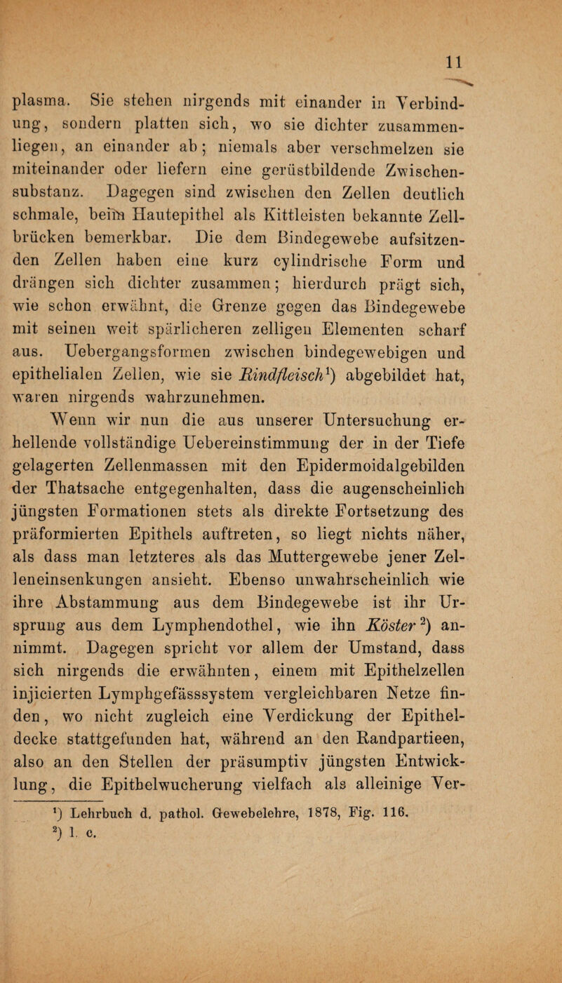 plasma. Sie stehen nirgends mit einander in Verbind¬ ung, sondern platten sich, wo sie dichter zusammen¬ liegen, an einander ab; niemals aber verschmelzen sie miteinander oder liefern eine gerüstbildende Zwischen¬ substanz. Dagegen sind zwischen den Zellen deutlich schmale, beitn Hautepithel als Kittleisten bekannte Zell¬ brücken bemerkbar. Die dem Bindegewebe aufsitzen¬ den Zellen haben eine kurz cylindrische Form und drängen sich dichter zusammen; hierdurch prägt sich, wie schon erwähnt, die Grenze gegen das Bindegewebe mit seinen weit spärlicheren zelligen Elementen scharf aus. Uebergangsformen zwischen bindegewebigen und epithelialen Zellen, wüe sie Rindfleisch1) abgebildet hat, waren nirgends wahrzunehmen. Wenn wir nun die aus unserer Untersuchung er¬ hellende vollständige Uebereinstimmung der in der Tiefe gelagerten Zellenmassen mit den Epidermoidalgebilden der Thatsache entgegenhalten, dass die augenscheinlich jüngsten Formationen stets als direkte Fortsetzung des präformierten Epithels auftreten, so liegt nichts näher, als dass man letzteres als das Muttergewebe jener Zel¬ leneinsenkungen ansieht. Ebenso unwahrscheinlich wie ihre Abstammung aus dem Bindegewebe ist ihr Ur¬ sprung aus dem Lymphendothel, wie ihn Röster2) an¬ nimmt. Dagegen spricht vor allem der Umstand, dass sich nirgends die erwähnten, einem mit Epithelzellen injicierten Lymphgefässsystem vergleichbaren Netze fin¬ den, wo nicht zugleich eine Verdickung der Epithel¬ decke stattgefunden hat, während an den Randpartieen, also an den Stellen der präsumptiv jüngsten Entwick¬ lung, die Epithelwucherung vielfach als alleinige Ver- *) Lehrbuch d, pathol. Gewebelehre, 1878, Füg. 116. 2) 1. c.